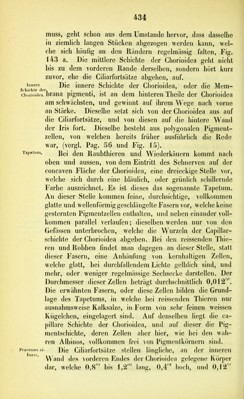 muss, geht schon aus dem Umstände hervor, dass dasselbe in ziemhch langen Stücken abgezogen werden kann, wel- che sich häufig an den Rändern regelmässig falten, Fig. 143 a. Die mittlere Schichte der Ghorioidea geht nicht bis zu dem vorderen Rande derselben, sondern hört kurz zuvor, ehe die Giliarfortsätze abgehen, auf. Innere Die innere Schichte der Ghorioidea, oder die Mem- Schiohtc der, . . . , . nm m i /-<i • • i Ghorioidea. Drana pigmenti, ist an dem hinteren Theile der Ghorioidea am schwächsten, und gewinnt auf ihrem Wege nach vorne an Stärke. Dieselbe setzt sich von der Ghorioidea aus auf die Giliarfortsätze, und von diesen auf die hintere Wand der Iris fort. Dieselbe besteht aus polygonalen Pigment- zellen, von welchen bereits früher ausführlich die Rede war, (vergl. Pag. 56 und Fig. 15). Tapctum. ßgj Raubthioreu und Wiederkäuern kommt nach oben und aussen, von dem Eintritt des Sehnerven auf der concaven Fläche der Ghorioidea, eine dreieckige Stelle vor, welche sich durch eine bläulich, oder grünlich schillernde Farbe auszeichnet. Es ist dieses das sogenannte Tapetum. An dieser Stelle kommen feine, durchsichtige, vollkommen glatte und wellenförmig geschlängelte Fasern vor, welche keine gesternten Pigmentzellen enthalten, und neben einander voll- kommen parallel verlaufen; dieselben werden nur von den Gefässen unterbrochen, welche die Wurzeln der Gapillar- schichte der Ghorioidea abgeben. Bei den reissenden Thie- ren und Robben findet man dagegen an dieser Stelle, statt dieser Fasern, eine Anhäufung von kernhaltigen Zellen, welche glatt, bei durchftillendem Lichte gelblich sind, und mehr, oder weniger regelmässige Sechsecke darstellen. Der Durchmesser dieser Zellen beträgt durchschnittlich 0,012'''. Die erwähnten Fasern, oder diese Zellen bilden die Grund- lage des Tapetums, in welche bei reissenden Thieren nur ausnahmsweise Kalksalze, in Form von sehr feinen weissen Kügelchen, eingelagert sind. Auf denselben liegt die ca- pillare Schichte der Ghorioidea, und auf dieser die Pig- mentschichte, deren Zellen aber hier, wie bei den wah- ren Albinos, vollkommen frei von Pigmentkörnern sind, projessusci- J)\q Giliarfortsätzo stellen längliche, an der inneren Wand des vorderen Endes der Ghorioidea gelegene Körper dar, welche 0,8' bis 1,2' lang, 0,4' hoch, und 0,12'