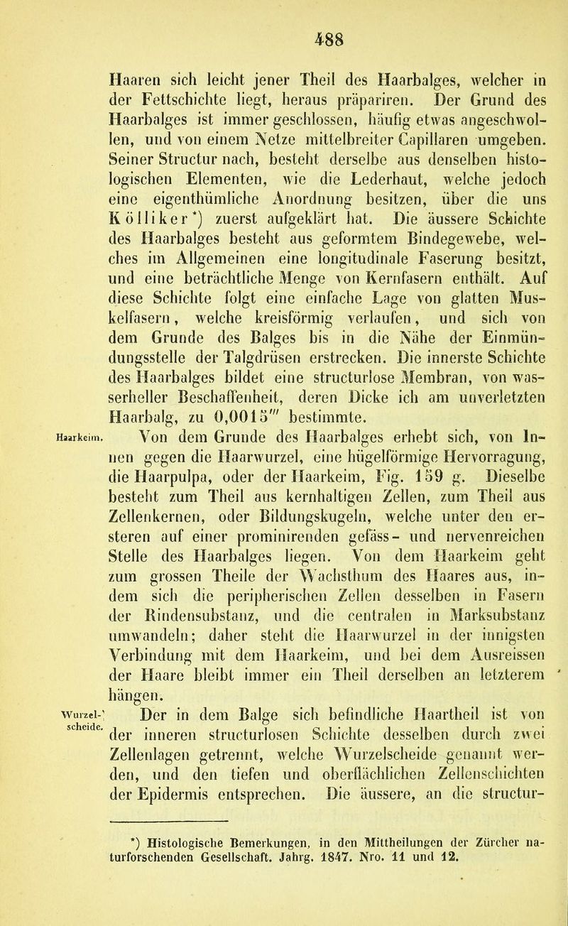 Haaren sich leicht jener Theil des Haarbalges, welcher ni der Fettschichte liegt, heraus präpariren. Der Grund des Haarbalges ist immer geschlossen, häufig etwas angeschwol- len, und von einem Netze mittelbreiter Gapillaren umgeben. Seiner Structur nach, besteht derselbe aus denselben histo- logischen Elementen, wie die Lederhaut, welche jedoch eine eigenthümliche Anordnung besitzen, über die uns K ö 11 i k e r *) zuerst aufgeklärt hat. Die äussere Schichte des Haarbalges besteht aus geformtem Bindegewebe, wel- ches im Allgemeinen eine longitudinale Faserung besitzt, und eine beträchtliche Menge von Kernfasern enthält. Auf diese Schichte folgt eine einfache Lage von glatten Mus- kelfasern , welche kreisförmig verlaufen, und sich von dem Grunde des Balges bis in die Nähe der Einmün- dungsstelle der Talgdrüsen erstrecken. Die innerste Schichte des Haarbalges bildet eine structurlose Membran, von was- serheller Beschafl'enheit, deren Dicke ich am unverletzten Haarbalg, zu 0,0015' bestimmte. Haarkeim. Vou dcui Gruude dcs Haarbalges erhebt sich, von In- nen gegen die Haarwurzel, eine hügelförmige Hervorragung, die Haarpulpa, oder der Haarkeim, Fig. lo9 g. Dieselbe besteht zum Theil aus kernhaltigen Zellen, zum Theil aus Zellenkernen, oder Bildungskugeln, welche unter den er- steren auf einer prominirenden gefäss- und nervenreichen Stelle des Haarbalges liegen. Von dem Haarkeim geht zum grossen Theile der Wachsthum des Haares aus, in- dem sich die peripherischen Zellen desselben in Fasern der Rindensubstanz, und die centralen in Marksubstanz umwandeln; daher steht die Haarwurzel in der innigsten Verbindung mit dem Haarkeim, und bei dem Ausreissen der Haare bleibt immer ein Theil derselben an letzterem ' hängen. M^urzci-: Der in dem Balge sich befindliche Haartheil ist von sc eidc. ^1^^^ inneren structurlosen Schichte desselben durch zwei Zellenlagen getrennt, welche W^urzelscheide genannt wer- den, und den tiefen und oberflächlichen Zellenschichten der Epidermis entsprechen. Die äussere, an die structur- *) Histologische Bemerkungen, in den Mittheilungen der Zürcher na- turforschenden Gesellschaft. Jahrg. 1847. Nro. 11 und 12.