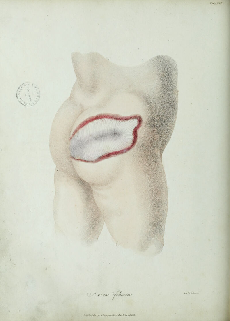 r 7 a’/v/j ye/samw. ft'htuhrd Oetn.wjtyLmujwan 7/urjt Jlee.t Ormo 6Brown.