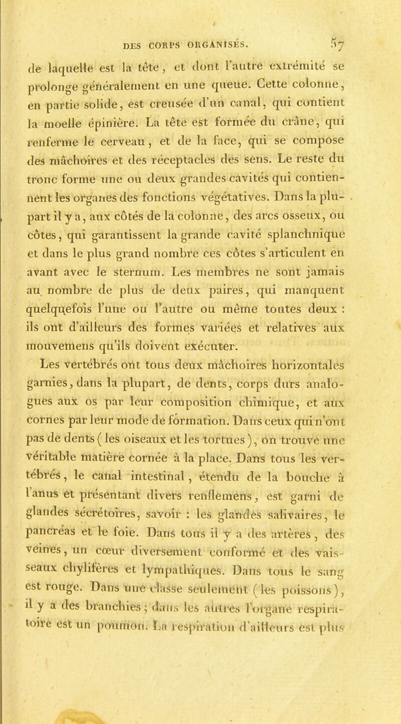 de laquelle est Là tête, et dont l'autre extrémité se prolonge généralement en une queue. Cette colonne, en partie solide, est creusée d'un canal, qui contient la moelle épinière. La tête est formée du crâne, qui renferme le cerveau, et de la face, qui se compose des mâchoires et des réceptacles des sens. Le reste du tronc forme une ou deux grandes cavités qui contien- nent les organes des fonctions végétatives. Dans la plu- part il y a, aux côtés de la colonne, des arcs osseux, ou côtes, qui garantissent la grande cavité splanchnique et dans le plus grand nombre ces côtes s'articulent en avant avec le sternum. Les membres ne sont jamais au nombre de plus de deux paires, qui manquent quelquefois l une ou l'autre ou même toutes deux : ils ont d'ailleurs des formes variées et relatives aUx mouvemens qu'ils doivent exécuter. Les vertébrés ont tous deux mâchoires horizontales garnies, dans la plupart, de dents, corps durs analo- gues aux os par leur composition chimique, et aux cornes par leur mode de formation. Dans ceux qui n'ont pas de dents ( les oiseaux et les tortues ), on trouve une véritable matière cornée à la place. Dans tous les ver- tébrés , le canal intestinal , étendu de la bouche à l'anus et présentant divers renflemens, est garni de glandes sécrétoires, savoir : les glandes salivaires, le pancréas et le foie. Dans tous il y a des artères, des veines, un cœur diversement conformé et des vais- seaux chylifères et lympathiques. Dans tous le sang est rouge. Dans une classe seulement ( les poissons), il y a des branchies; dans les autres l'organe respira- toire est un poumon. La respiration d'ailleurs est plus