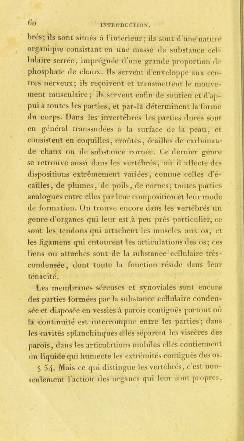 brés; ils sont situés à l'intérieur; ils sont A'tine ftâtûré organique consistant en une masse de substance cel- lulaire serrée, imprégnée d'une grande proportion dë phosphate de chaux. Ils servent d'enveloppe aux cen- tres nerveux: ils reçoivent et transmettent le niouve- ment musculaire; ils servent enfin de soutien et d'ap- pui à toutes les parties, et par-là déterminent la forme du corps. Dans les invertébrés les parties dures sont en général transsudées à la surface de la peau, et consistent en coquilles, croûtes, écailles de carbonate de chaux ou de substance cornée. Ce dernier genre se retrouve aussi dans les vertébrés, où il affecte des dispositions extrêmement variées, comme celles d'é- cailles, de plumes, de poils, de cornes; toutes parties analogues entre elles par leur composition et leur mode de formation. On trouve encore dans les vertébrés un genre d'organes qui leur est,à peu près particulier, ce sont les tendons qui attachent les muscles aux os, et les ligamens qui entourent les articulations des os; ces liens ou attaches sont de la substance cellulaire très- condensée, dont toute la fonction réside dans leur ténacité. Les membranes séreuses et synoviales sont encore des parties formées par la substance cellulaire conden- sée et disposée en vessies à parois contiguës partout où la continuité est interrompue entre les parties ; dans les cavités splanchinques elles séparent les viscères des parois, dans les articulations mobiles elles contiennent un liquide qui humecte les extrémités contiguës des os. § 54. Mais ce qui distingue les vertébrés, c'est non- seulement l'action des organes qui leur sont propres,