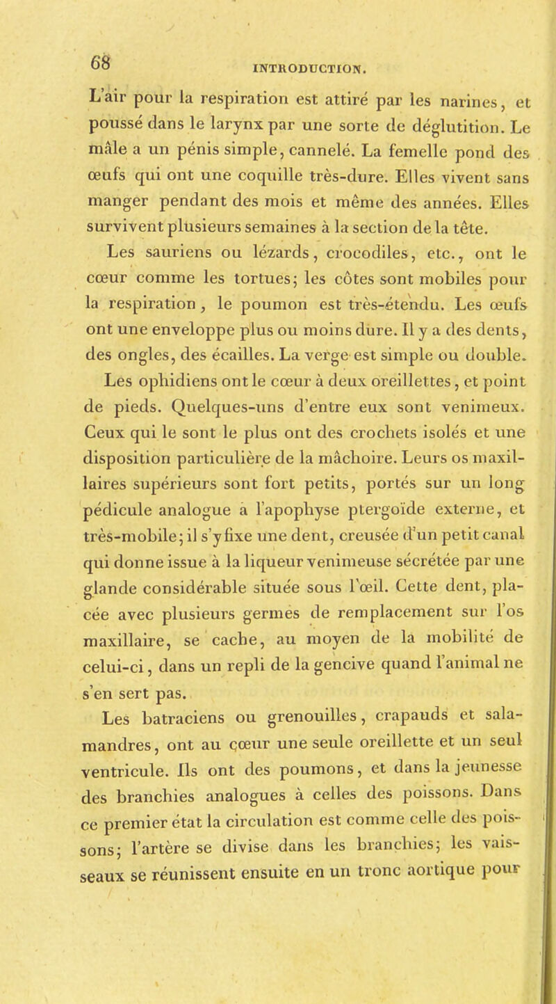 L'air pour la respiration est attiré par les narines, et poussé dans le larynx par une sorte de déglutition. Le mâle a un pénis simple, cannelé. La femelle pond des œufs qui ont une coquille très-dure. Elles vivent sans manger pendant des mois et même des années. Elles survivent plusieurs semaines à la section de la tête. Les sauriens ou lézards, crocodiles, etc., ont le cœur comme les tortues; les côtes sont mobiles pour la respiration, le poumon est très-étehdu. Les œufs ont une enveloppe plus ou moins dure. Il y a des dents, des ongles, des écailles. La verge est simple ou double. Les opbidiens ont le cœur à deux oreillet tes, et point de pieds. Quelques-uns d'entre eux sont venimeux. Ceux qui le sont le plus ont des crochets isolés et une disposition particulière de la mâchoire. Leurs os maxil- laires supérieurs sont fort petits, portés sur un long pédicule analogue a l'apophyse ptergoïde externe, et très-mobile; il s'y fixe une dent, creusée d'un petit canal qui donne issue à la liqueur venimeuse sécrétée par une glande considérable située sous Tœil. Cette dent, pla- cée avec plusieurs germes de remplacement sur l'os maxillaire, se cache, au moyen de la mobilité de celui-ci, dans un repli de la gencive quand l'animal ne s'en sert pas. Les batraciens ou grenouilles, crapauds et sala- mandres , ont au cœur une seule oreillette et un seul ventricule. Ils ont des poumons, et dans la jeunesse des branchies analogues à celles des poissons. Dans ce premier état la circulation est comme celle des pois- sons; l'artère se divise dans les branchies; les vais- seaux se réunissent ensuite en un tronc aortique pour