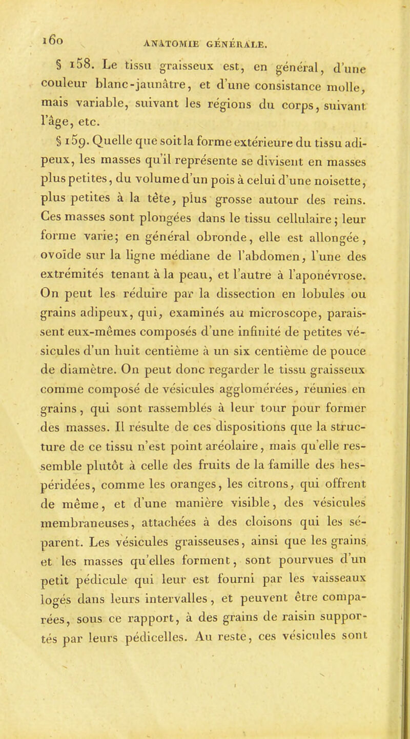 § i58. Le tissu graisseux est, en général, d'une couleur blanc-jaunâtre, et d'une consistance molle, mais variable, suivant les régions du corps, suivant, l'âge, etc. § 15g. Quelle que soit la forme extérieure du tissu adi- peux, les masses qu'il représente se divisent en masses plus petites, du volume d'un pois à celui d'une noisette, plus petites à la tête, plus grosse autour des reins. Ces masses sont plongées dans le tissu cellulaire ; leur forme varie; en général obronde, elle est allongée, ovoïde sur la ligne médiane de l'abdomen, l'une des extrémités tenant à la peau, et l'autre à l'aponévrose. On peut les réduire par la dissection en lobules ou grains adipeux, qui, examinés au microscope, parais- sent eux-mêmes composés d'une infinité de petites vé- sicules d'un buit centième à un six centième de pouce de diamètre. On peut donc regarder le tissu graisseux comme composé de vésicules agglomérées, réunies en grains, qui sont rassemblés à leur tour pour former des masses. Il résulte de ces dispositions que la struc- ture de ce tissu n'est point aréolaire, mais qu'elle res- semble plutôt à celle des fruits de la famille des hes- péridées, comme les oranges, les citrons, qui offrent de même, et d'une manière visible, des vésicules membraneuses, attachées à des cloisons qui les sé- parent. Les vésicules graisseuses, ainsi que les grains et les masses qu'elles forment, sont pourvues d'un petit pédicule qui leur est fourni par les vaisseaux logés dans leurs intervalles, et peuvent être compa- rées, sous ce rapport, à des grains de raisin suppor- tés par leurs pédicelles. Au reste, ces vésicules sont