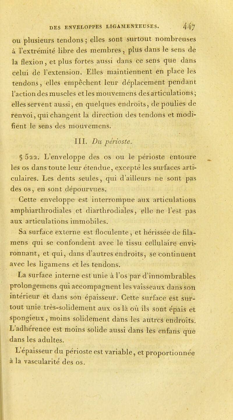 ou plusieurs tendons ; elles sont surtout nombreuses à l'extrémité libre des membres, plus dans le sens de la flexion, et plus fortes aussi dans ce sens que dans celui de l'extension. Elles maintiennent en place les tendons, elles empêchent leur déplacement pendant l'action des muscles etlesmouvemens des articulations; elles servent aussi, en quelques endroits, de poulies de renvoi, qui changent la direction des tendons et modi- fient le sens des mouvemens. III. Du périoste. % 522. L'enveloppe des os ou le périoste entoure les os dans toute leur étendue, excepté les surfaces arti- culaires. Les dents seules, qui d'ailleurs ne sont pas des os, en sont dépourvues. Cette enveloppe est interrompue aux articulations amphiarthrodiales et diarthrodiales, file ne lest pas aux articulations immobiles. Sa surface externe est floculente , et hérissée de fila- mens qui se confondent avec le tissu cellulaire envi- ronnant, et qui, dans d'autres endroits, se continuent avec les ligamens et les tendons. La surface interne est unie à l'os par d'innombrables prolongerons qui accompagnent les vaisseaux dans son intérieur et dans son épaisseur. Cette surface est sur- tout unie très-solidement aux os là où ils sont épais et spongieux, moins solidement dans les autres endroits. L'adhérence est moins solide aussi dans les enfans que dans les adultes. L'épaisseur du périoste est variable, et proportionnée à la vascularité des os.