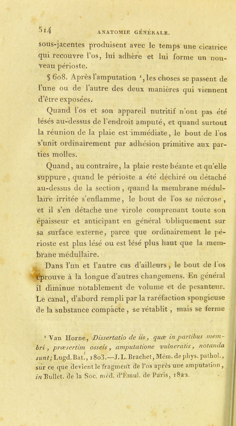 sous-jacentes produisent avec le temps une cicatrice qui recouvre l'os, lui adhère et lui forme un nou- veau périoste. § 608. Après l'amputation les choses se passent de l'une ou de l'autre des deux manières qui viennent d'être exposées. Quand l'os et son appareil nutritif n'ont pas été lésés au-dessus de l'endroit amputé, et quand surtout la réunion de la plaie est immédiate, le bout de l'os s'unit ordinairement par adhésion primitive aux par- ties molles. Quand, au contraire, la plaie reste béante et qu'elle suppure, quand le périoste a été déchiré ou détaché au-dessus de la section, quand la membrane médul- laire irritée s'enflamme, le bout de l'os se nécrose, et il s'en détache une virole comprenant toute son épaisseur et anticipant en général obliquement sur sa surface externe, parce que ordinairement le pé- rioste est plus lésé ou est lésé plus haut que la mem- brane médullaire. ^ Dans l'un et l'autre cas d'ailleurs , le bout de l'os prouve à la longue d'autres changemens. En général il diminue notablement de volume et de pesanteur. Le canal, d'abord rempli par la raréfaction spongieuse de la substance compacte , se rétablit, mais se ferme 1 Van Home, Dissertatio de iis, quce inpartibus metn- bri, prœsertim osseis, amputatione vulneratis, notanda jwrt*;Lugd.Bat.', i8o3.—J.L.Brachet, Mém. dephys. pathol., sur ce que devient le fragment de l'os après une amputalion , in Bullct. de la Soc. niéd. d'Émul. de Paris, 1822.