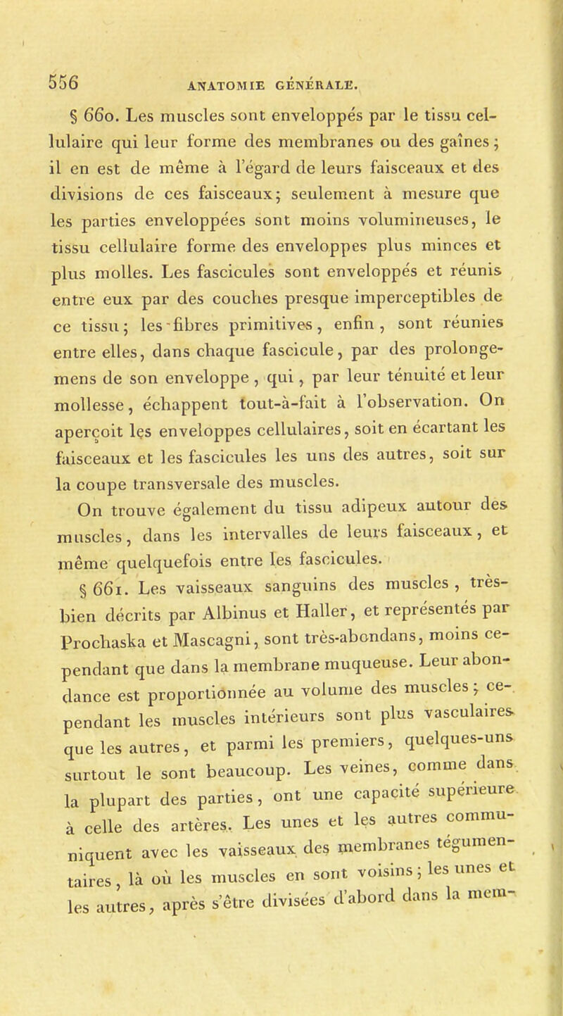 § 660. Les muscles sont enveloppés par le tissu cel- lulaire qui leur forme des membranes ou des gaines ; il en est de même à l'égard de leurs faisceaux et tles divisions de ces faisceaux; seulement à mesure que les parties enveloppées sont moins volumineuses, le tissu cellulaire forme des enveloppes plus minces et plus molles. Les fascicules sont enveloppés et réunis entre eux par des couches presque imperceptibles de ce tissu; les-fibres primitives, enfin, sont réunies entre elles, dans chaque fascicule, par des prolonge- mens de son enveloppe , qui, par leur ténuité et leur mollesse, échappent tout-à-fait à l'observation. On aperçoit les enveloppes cellulaires, soit en écartant les faisceaux et les fascicules les uns des autres, soit sur la coupe transversale des muscles. On trouve également du tissu adipeux autour des muscles, dans les intervalles de leurs faisceaux, et même quelquefois entre les fascicules. §661. Les vaisseaux sanguins des muscles, très- bien décrits par Albinus et Haller, et représentés par Prochaska et Mascagni, sont très-abondans, moins ce- pendant que dans la membrane muqueuse. Leur abon- dance est proportionnée au volume des muscles ; ce-, pendant les muscles intérieurs sont plus vasculaires- que les autres, et parmi les premiers, quelques-uns surtout le sont beaucoup. Les veines, comme dans la plupart des parties, ont une capacité supérieure, à celle des artères. Les unes et les autres commu- niquent avec les vaisseaux des membranes tégumen- taires, là où les muscles en sont voisins ; les unes et les autres, après s'être divisées d'abord dans la mem-