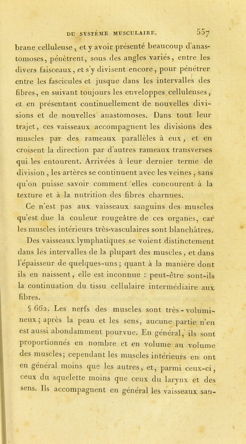 brane celluleuse et y avoir présenté beaucoup d'anas- tomoses, pénètrent, sous des angles variés, entre les divers faisceaux, et s'y divisent encore, pour pénétrer entre les fascicules et jusque dans les intervalles des fibres , en suivant toujours les enveloppes celluleuses, et en présentant continuellement de nouvelles divi- sions et de nouvelles anastomoses. Dans tout leur trajet, ces vaisseaux accompagnent les divisions des muscles par des rameaux parallèles à eux, et en croisent la direction par d'autres rameaux transverses qui les entourent. Arrivées à leur dernier terme de division , les artères se continuent avec les veines , sans qu'on puisse savoir comment elles concourent à la texture et à la nutrition des fibres charnues. Ce n'est pas aux vaisseaux sanguins des muscles qu'est due la couleur rougeâtre de ces organes, car les muscles intérieurs très-vasculaires sont blanchâtres. Des vaisseaux lymphatiques se voient distinctement dans lés intervalles de la plupart des muscles, et dans l'épaisseur de quelques-uns; quant à la manière dont ils en naissent, elle est inconnue : peut-être sont-ils la continuation du tissu cellulaire intermédiaire aux fibres. §662. Les nerfs des muscles sont très - volumi- neux ; après la peau et les sens, aucune partie n'en est aussi abondamment pourvue. En général, ils sont proportionnés en nombre et en volume au volume des muscles; cependant les muscles intérieurs en ont en général moins que les autres, et, parmi ceux-ci, ceux du squelette moins que ceux du larynx et des sens. Us accompagnent en général les vaisseaux san-