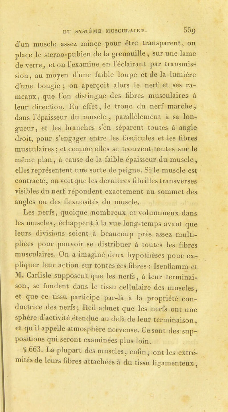 d'un muscle assez mince pour être transparent, on place le sterno-pubien de la grenouille , sur une lame de verre, et on l'examine en l'éclairant par transmis- sion , au moyen d'une faible loupe et de la lumière d'une bougie ; on aperçoit alors le nerf et ses ra- meaux, que l'on distingue des fibres musculaires à leur- direction. En effet, le tronc du nerf marche, dans l'épaisseur du muscle , parallèlement à sa lon- gueur, et les branches s'en séparent toutes à angle droit, pour s'engager entre les fascicules et les fibres musculaires ; et comme elles se trouvent toutes sur le même plan, à cause de la faible épaisseur du muscle, elles représentent une sorte de peigne. Si'le muscle est contracté, on voit que les dernières fibrilles transverses visibles du nerf répondent exactement au sommet des angles ou des flexuosités du muscle. Les nerfs, quoique nombreux et volumineux dans les muscles, échappent à la vue long-temps avant que leurs divisions soient à beaucoup près assez multi- pliées pour pouvoir se distribuer à toutes les fibres musculaires. On a imaginé deux hypothèses pour ex- pliquer leur action sur toutes ces fibres : Isenflamm et M. Carlisle supposent que les nerfs, à leur terminai- son, se fondent dans le tissu cellulaire des muscles, et que ce tissu participe par-là à la propriété con- ductrice des nerfs; Reil admet que les nerfs ont une sphère d'activité étendue au delà de leur terminaison, et qu'il appelle atmosphère nerveuse. Ce sont des sup- positions qui seront examinées plus loin. 5 663. La plupart des muscles, enfin, ont les extré- mités de leurs fibres attachées à du tissu ligamenteux,