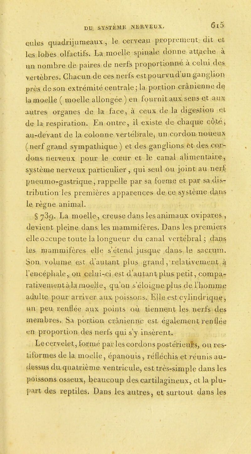 eules quadrijum.eaux, le cerveau proprement, dit et les lobes olfactifs. La moelle spinale donne attache à un nombre de paires de nerfs proportionné à celui des vertèbres. Chacun de ces nerfs estpourvud'un ganglion près de son extrémité centrale ; la portion crânienne de la moelle ( moelle allongée ) en fournit aux sens et aux autres organes de la face, à ceux de la digestion et de la respiration. En outre, il existe de chaque côte, au-devant de la colonne vertébrale, un cordon noueux ( nerf grand sympathique ) et des ganglions et des. cor- dons nerveux pour le cœur et le canal alimentaire, système nerveux particulier , qui seul ou join t au nerf pneumo-gastrique, rappelle par sa forme et par sa dis- tribution les premières apparences de ce système dans le règne animal. § 739. La moelle , creuse dans les animaux ovipares , devient pleine dans les mammifères. Dans les premiers elle occupe toute la longueur du canal vertébral; dans les mammifères elle s'étend jusque dans le sacrum. Son volume est d'autant plus grand, relativement à l'encéphale, ou celui-ci est d'autant plus petit, compa- rativementà la moelle, qu'on s'éloigne plus de l'homme adulte pour arriver aux poissons. Elle est cylindrique, un peu renflée aux points où tiennent les nerfs des membres. Sa portion crânienne est également renflée en proportion des nerfs qui s'y insèrent. Le cervelet, formé par les cordons postérieurs, ou res- ùtormes de la moelle, épanouis, réfléchis et réunis au- dessus duquatrième ventricule, est très-simple dans les poissons osseux, beaucoup des cartilagineux,, et la plu- part des reptiles. Dans les autres, et surtout dans les
