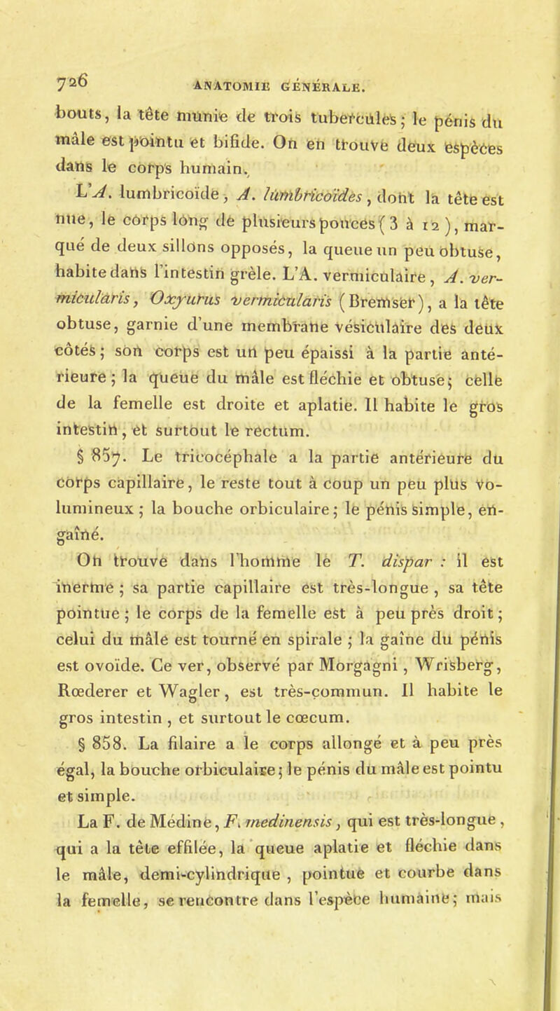 bouts, la tête munie de trois tubercules ; le pénis du mâle est pointu et bifide. On en trouve deux espèces dans le corps humain., VA. lumbricoïde, A. t'itmbricoïdes , dont la tête est une, le corps long de plusieurs pouces ( 3 à 12 ), mar- qué de deux sillons opposés, la queue un peu obtuse, habite dans l'intestin grêle. L'A. vermiculaire , A. ver- micularis, Oxyutus verrnicrdaris (Bremser), a la tête obtuse, garnie d'une membrane vésiculaire des deux côtés ; sort corps est un peu épaissi à la partie anté- rieure ; la queue du mâle est fléchie et obtuse 5 celle de la femelle est droite et aplatie. Il habite le gros intestin , et surtout le rectum. § 85^. Le tricocéphale a la partie antérieure du Corps capillaire, le reste tout à coup un peu plus vo- lumineux ; la bouche orbiculaire; le pénis simple, ert- gaîné. On trouve dans l'homme le T. dispar : il est inerme ; sa partie capillaire est très-longue , sa tête pointue; le corps de la femelle est à peu près droit; celui du rnâle est tourné ên spirale ; la gaine du pénis est ovoïde. Ce ver, observé par Morgagni, Wrisberg, Rœderer et Wagler, est très-commun. Il habite le gros intestin , et surtout le cœcum. § 858. La filaire a le corps allongé et à peu près égal, la bouche orbiculaise 5 le pénis du mâle est pointu et simple. La F. de Médine, F, medinensis, qui est très-longue . qui a la tête effilée, la queue aplatie et fléchie dans le mâle, demi-cylindrique , pointue et courbe dans la femelle, se rencontre dans l'espèce humaine; mais
