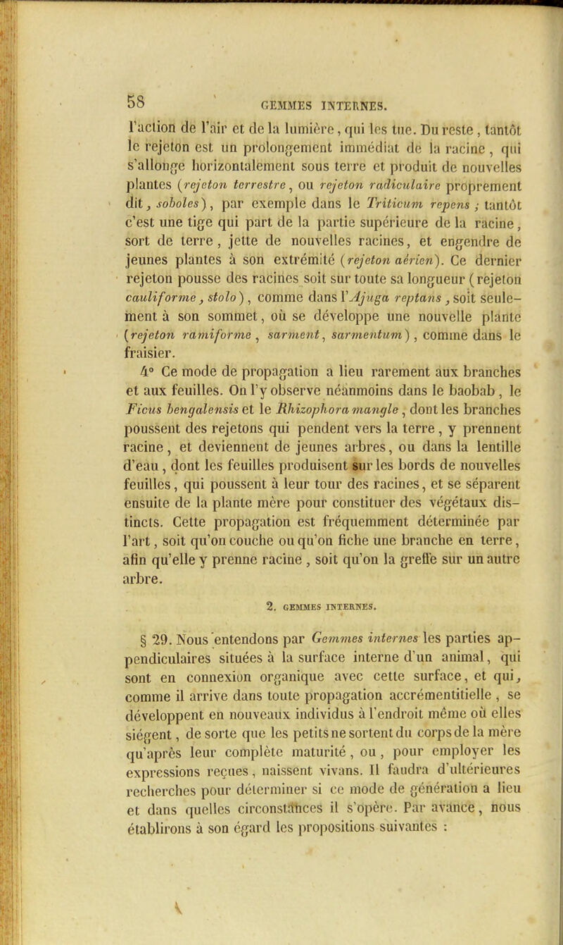 S8 ' GEMMES INTERNES. raction de l'air et de la lumière, qui les tue. Du reste, tantôt le rejeton est un prolonjjement immédiat de la racine, qui s'alIon{je horizontalement sous terre et produit de nouvelles plantes {rejeton terrestre^ ou rejeton radictilaire proprement dit, soboles), par exemple dans le Triticum repens ; tantôt c'est une tige qui part de la partie supérieure de la racine, sort de terre, jette de nouvelles racines, et engendre de jeunes plantes à son extrémité (rejeton aérien). Ce dernier rejeton pousse des racines soit sur toute sa longueur (rejeton cauliforme, stolo), comme dans YAjuga reptans, soit seule- ment à son sommet, où se développe une nouvelle plante [rejeton r ami for me sarment., sarmentum), comme dans le fraisier. 4° Ce mode de propagation a lieu rarement aux branches et aux feuilles. On l'y observe néanmoins dans le baobab, le Ficus bengalensis et le Rhizophoramangle ^ dont les branches poussent des rejetons qui pendent vers la terre, y prennent racine, et deviennent de jeunes arbres, ou dans la lentille d'eau, dont les feuilles produisent iur les bords de nouvelles feuilles, qui poussent à leur tour des racines, et se séparent ensuite de la plante mère pour constituer des végétaux dis- tincts. Cette propagation est fréquemment déterminée par l'art, soit qu'on couche ou qu'on fiche une branche en terre, afin qu'elle y prenne racine , soit qu'on la greffe sur un autre arbre, 2. GEÏIMES IHTEaWES. § 29. Nous entendons par Gemmes internes les parties ap- pendiculaires situées à la surface interne d'un animal, qui sont en connexion organique avec cette surface, et qui, comme il arrive dans toute propagation accrémentitielle , se développent en nouveaux individus à l'endroit même où elles siègent, de sorte que les petitsne sortent du corps de la mère qu'après leur complète maturité, ou, pour employer les expressions reçues, naissent vivans. Il faudra d'ultérieures recherches pour déicrminer si ce mode de génération a lieu et dans quelles circonstrthces il s'opère. Par avancé, hous établirons à son égard les propositions suivantes :