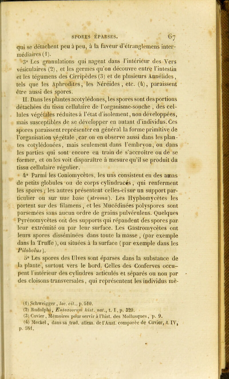 qui se détachent peu à peu, à la faveur d'étranglemens inter- médiaires (1). 3» Les granulations qui nagent dans l'intérieur des Vers vésiculaires (2), et les germes qu'on découvre entre l'intestin et les tégumens des Cirripèdes(3) et de plusieurs Annélides, tels que les Aphrodites, les Néréides, etc. (4), paraissent être aussi des spores. II. Dans les plantes acolylédones, les spores sont desportions détachées du tissu cellulaire de l'organisme-souche , des cel- lules végétales réduites à l'état d'isolement, non développées, mais susceptibles de se développer en autant d'individus. Ces spores paraissent représenter en général la forme primitive de l'organisation végétale , car on en observe aussi dans les plan- tes cotylédonées, mais seulement dans l'embryon, ou dans les parties qui sont encore en train de s'accroître ou de se former, et on les voit disparaître à mesure qu'il se produit du tissu cellulaire régulier. 4 Parmi les Coniomycètes, les uns consistent en des amas de petits globules ou de corps cylindracés , qui renferment les spores ; les autres présentent celles-ci sur un support par- ticulier ou sur une base (stroma). Les Hyphomycèles les portent sur des filamens, et les Mucédinées polyspores sont parsemées sans aucun ordre de grains pulvérulens. Quelques Pyrénomycètes ont des supports qui répandent des spores par leur extrémité ou par leur surface. Les Gastromycètes ont leurs spores disséminées dans toute la masse , (par exemple dans la Truffe ), ou situées à la surface ( par exemple dans les Pilobolus ). 6° Les spores des Ulves sont éparses dans la substance de la plante, surtout vers le bord. Celles des Conferves occu- pent 1 intérieur des cylindres ai ticulés et séparés ou non par des cloisons transversales, qui représentent les individus mè- (4) Schweigger, loc. cit., p. 510. (2) Riidolphi, EntozooTHvl hist. nat., t. I,p. 320. (3) Ciivier, Mémoires pour servir à l'hisl. des Mollusques, p. 9. '4) Meckel, danssa trad. allem. de l'Anat. comparée de Cuvier, t, IV, p. m.