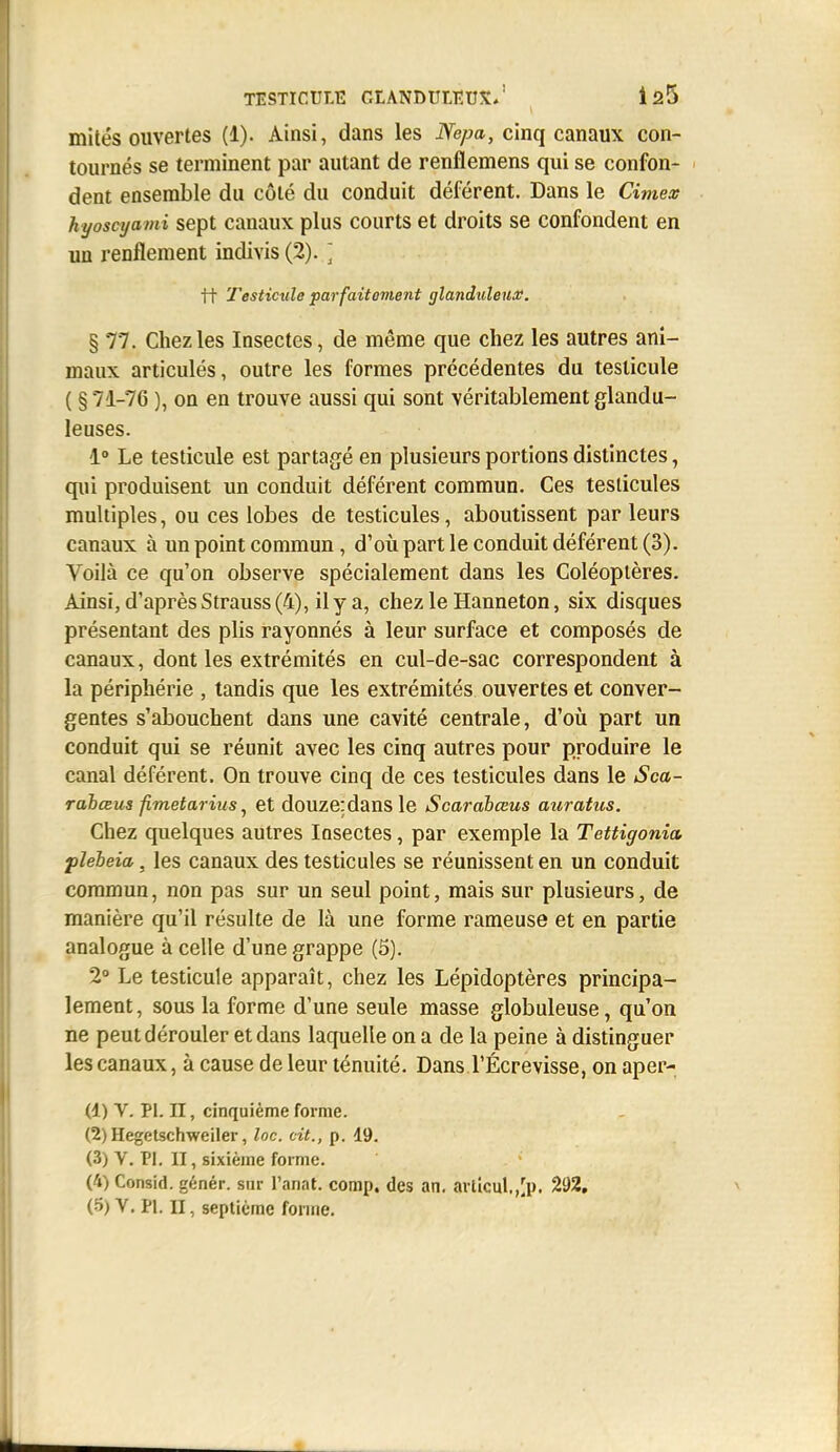 mités ouvertes (1). Ainsi, dans les Nepa, cinq canaux con- tournés se terminent par autant de renflemens qui se confon- dent ensemble du côté du conduit déférent. Dans le Cimex hyoscyami sept cauaux plus courts et droits se confondent en un renflement indivis (2). ] tt Testicule parfaitement glanduleux. § 77. Chez les Insectes, de même que chez les autres ani- maux articulés, outre les formes précédentes du testicule ( § 71-76 ), on en trouve aussi qui sont véritablement glandu- leuses. 1 Le testicule est partagé en plusieurs portions distinctes, qui produisent un conduit déférent commun. Ces testicules multiples, ou ces lobes de testicules, aboutissent par leurs canaux à un point commun, d'où part le conduit déférent (3). Voilà ce qu'on observe spécialement dans les Coléoptères. Ainsi, d'après Strauss (4), il y a, chez le Hanneton, six disques présentant des plis rayonnés à leur surface et composés de canaux, dont les extrémités en cul-de-sac correspondent à la périphérie , tandis que les extrémités ouvertes et conver- gentes s'abouchent dans une cavité centrale, d'oii part un conduit qui se réunit avec les cinq autres pour produire le canal déférent. On trouve cinq de ces testicules dans le Sca- rabœus fimetarius ^ et douze:dans le Scarabœus auratus. Chez quelques autres Insectes, par exemple la Tettigonia plebeia, les canaux des testicules se réunissent en un conduit commun, non pas sur un seul point, mais sur plusieurs, de manière qu'il résulte de là une forme rameuse et en partie analogue à celle d'une grappe (5). 2° Le testicule apparaît, chez les Lépidoptères principa- lement, sous la forme d'une seule masse globuleuse, qu'on ne peut dérouler et dans laquelle on a de la peine à distinguer les canaux, à cause de leur ténuité. Dans l'Écrevisse, on aper- (1) V. Pl. II, cinquième forme. (2) Hegetschweiler, loc. cit., p. 19. (3) V. Pl. II, sixième forme. (4) Consid. génér. sur l'anat. comp. des an, articul.,[p. 292, (5) V. Pl. II, septième forme.