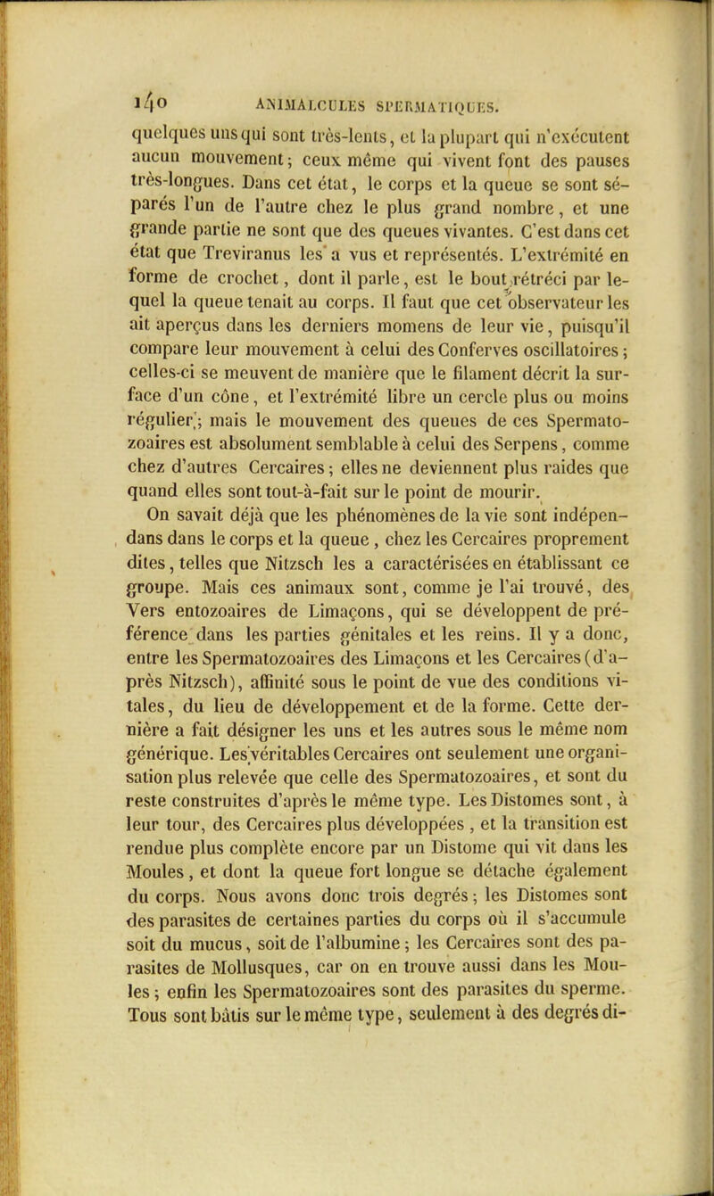 quelques uns qui sont très-lenls, et la plupart qui n'exécutent aucun mouvement ; ceu\ même qui vivent font des pauses très-longues. Dans cet état, le corps et la queue se sont sé- parés l'un de l'autre chez le plus grand nombre, et une grande partie ne sont que des queues vivantes. C'est dans cet état que Treviranus les' a vus et représentés. L'extrémité en forme de crochet, dont il parle, est le bout .rétréci par le- quel la queue tenait au corps. Il faut que cet observateur les ait aperçus dans les derniers momens de leur vie, puisqu'il compare leur mouvement à celui des Conferves oscillatoires ; celles-ci se meuvent de manière que le filament décrit la sur- face d'un cône, et l'extrémité libre un cercle plus ou moins régulier,'; mais le mouvement des queues de ces Spermato- zoaires est absolument semblable à celui des Serpens, comme chez d'autres Cercaires ; elles ne deviennent plus raides que quand elles sont tout-à-fait sur le point de mourir. On savait déjà que les phénomènes de la vie sont indépen- dans dans le corps et la queue, chez les Cercaires proprement dites, telles que Nitzsch les a caractérisées en établissant ce groupe. Mais ces animaux sont, comme je l'ai trouvé, des Vers entozoaires de Limaçons, qui se développent de pré- férence dans les parties génitales et les reins. Il y a donc, entre les Spermatozoaires des Limaçons et les Cercaires (d'a- près Nitzsch), affinité sous le point de vue des conditions vi- tales , du lieu de développement et de la forme. Cette der- rière a fait désigner les uns et les autres sous le même nom générique. Les véritables Cercaires ont seulement une organi- sation plus relevée que celle des Spermatozoaires, et sont du reste construites d'après le même type. Les Distomes sont, à leur tour, des Cercaires plus développées , et la transition est rendue plus complète encore par un Distome qui vit dans les Moules, et dont la queue fort longue se détache également du corps. Nous avons donc trois degrés ; les Disiomes sont des parasites de certaines parties du corps où il s'accumule soit du mucus, soit de l'albumine ; les Cercaires sont des pa- rasites de Mollusques, car on en trouve aussi dans les Mou- les ; enfin les Spermatozoaires sont des parasites du sperme. Tous sont bâtis sur le môme type, seulement à des degrés di-