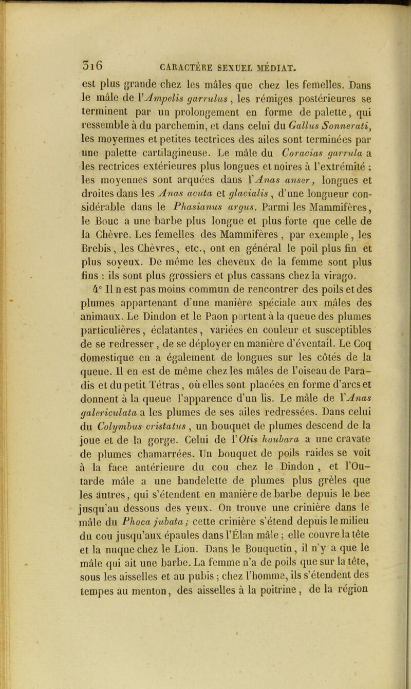 est plus grande chez les mâles que chez les femelles. Dans le mâle de Vylmpelis garrulus, les rémiges postérieures se terminent par un prolongement en forme de palette, qui ressemble à du parchemin, et dans celui du Gallus Sonnerati, les moyennes et petites tectrices des ailes sont terminées par une palette cartilagineuse. Le mâle du Coracias yarrula a les rectrices extérieures plus longues et noires à l'extrémité ; les moyennes sont arquées dans ÏAnas anscr, longues et droites dans les Anas acuta et glacialis, d'une longueur con- sidérable dans le Phasianus argus. Parmi les Mammifères, le Bouc a une barbe plus longue et plus forte que celle de la Chèvre. Les femelles des Mammifères , par exemple, les Brebis, les Chèvres, etc., ont en général le poil plus fin et plus soyeux. De même les cheveux de la femme sont plus fins : ils sont plus grossiers et plus cassans chez la virago. 4° Il n est pas moins commun de rencontrer des poils et des plumes appartenant d'une manière spéciale aux mâles des animaux. Le Dindon et le Paon portent à la queue des plumes particulières, éclatantes, variées en couleur et susceptibles de se redresser, de se déployer en manière d'éventail. Le Coq domestique en a également de longues sur les côtés de la queue. Il en est de même chez les mâles de l'oiseau de Para- dis et du petit Tétras, où elles sont placées en forme d'arcs et donnent à la queue l'apparence d'un lis. Le mâle de VAnas galericulata a Ics plumes de ses ailes redressées. Dans celui du Colymhus cristatus, un bouquet de plumes descend de la joue et de la gorge. Celui de ïOtis houhara a une cravate de plumes chamarrées. Un bouquet de poils raides se voit à la face antérieure du cou chez le Dindon , et l'Ou- tarde mâle a une bandelette de plumes plus grêles que les autres, qui s'étendent en manière de barbe depuis le bee jusqu'au dessous des yeux. On trouve une crinière dans le mâle du Phoca juhata ; cette crinière s'étend depuis le miheu du cou jusqu'aux épaules dans l'Élan mâle ; elle couvre la tête et la nuque chez le Lion. Dans le Bouquetin, il n'y a que le mâle qui ait une barbe. La femme n'a de poils que sur la tête, sous les aisselles et au pubis ; chez l'homme, ils s'étendent des tempes au menton, des aisselles à la poitrine, de la région