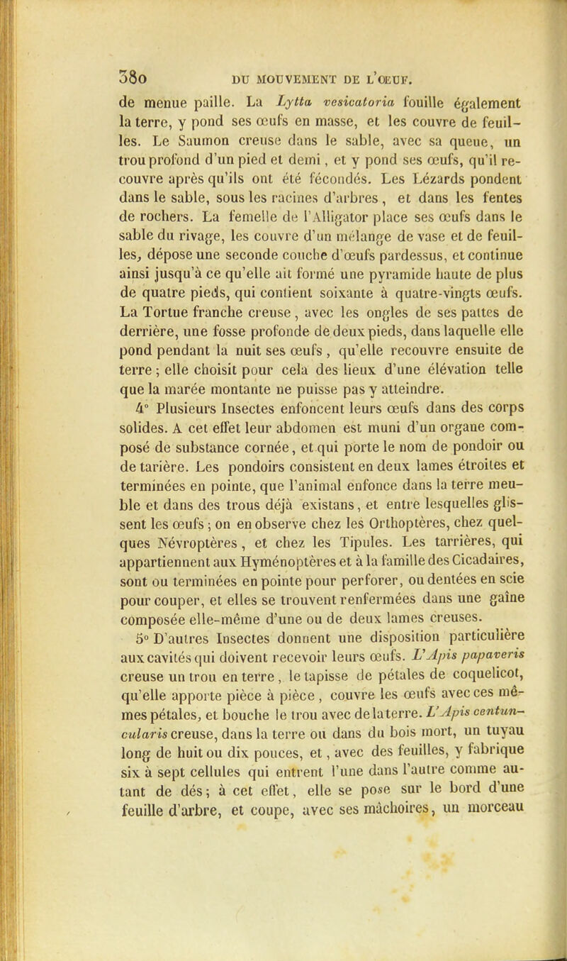 de menue paille. La Lytta vesicaùoria fouille également la terre, y pond ses œufs en masse, et les couvre de feuil- les. Le Saumon creuse dans le sable, avec sa queue, un trou profond d'un pied et demi, et y pond ses œufs, qu'il re- couvre après qu'ils ont été fécondés. Les Lézards pondent dans le sable, sous les racines d'arbres, et dans les fentes de rochers. La femelle de l'Alligator place ses œufs dans le sable du rivage, les couvre d'un mélange de vase et de feuil- les, dépose une seconde couche d'œufs pardessus, et continue ainsi jusqu'à ce qu'elle ait formé une pyramide haute de plus de quatre pieds, qui contient soixante à quatre-vingts œufs. La Tortue franche creuse , avec les ongles de ses pattes de derrière, une fosse profonde de deux pieds, dans laquelle elle pond pendant la nuit ses œufs , qu'elle recouvre ensuite de terre ; elle choisit pour cela des lieux d'une élévation telle que la marée montante ne puisse pas y atteindre. 4° Plusieurs Insectes enfoncent leurs œufs dans des corps solides. A cet effet leur abdomen est muni d'un organe com- posé de substance cornée, et qui porte le nom de pondoir ou de tarière. Les pondoirs consistent en deux lames étroites et terminées en pointe, que l'animal enfonce dans la terre meu- ble et dans des trous déjà existans, et entre lesquelles glis- sent les œufs ; on en observe chez les Orthoptères, chez quel- ques Névroptères, et chez les Tipules. Les tarrières, qui appartiennent aux Hyménoptères et à la famille des Cicadaires, sont ou terminées en pointe pour perforer, ou dentées en scie pour couper, et elles se trouvent renfermées dans une gaîne composée elle-même d'une ou de deux lames creuses. 5° D'autres Insectes donnent une disposition particulière aux cavités qui doivent recevoir leurs œufs. L'Apis papaveris creuse un trou en terre, le tapisse de pétales de coquelicot, qu'elle apporte pièce à pièce , couvre les œufs avec ces mê- mes pétales, et bouche le trou avec de la terre. L'Apis centun- cularis creuse, dans la terre ou dans du bois mort, un tuyau long de huit ou dix pouces, et, avec des feuilles, y fabrique six à sept cellules qui entrent l'une dans l'autre comme au- tant de dés ; à cet effet, elle se pose sur le bord d'une feuille d'arbre, et coupe, avec ses mâchoires, un morceau