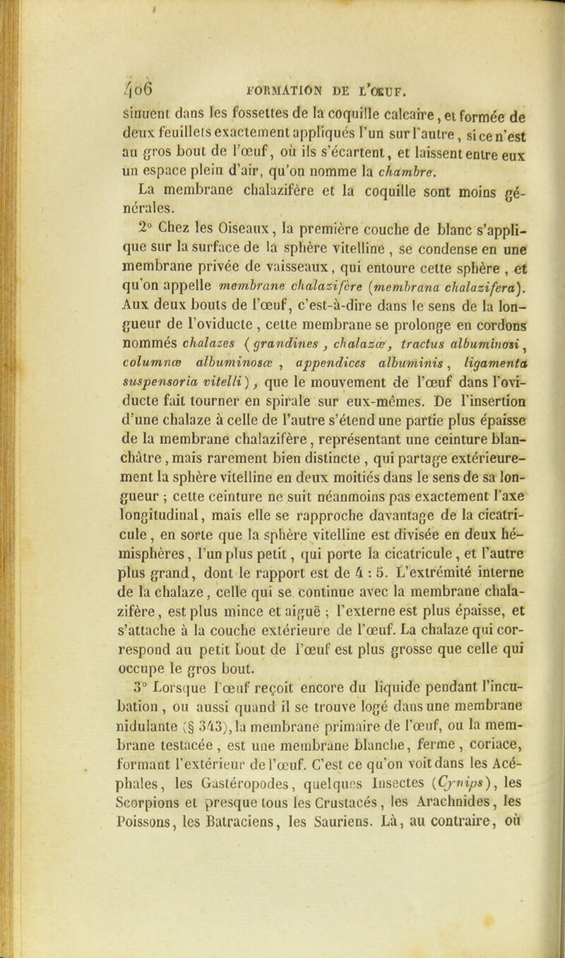 siniioni dans les fossettes de la coquille calcaire, et formée de deux feuillets exactement appliqués l'un sur l'autre, si ce n'est au gros bout de l'œuf, où ils s'écartent, et laissent entre eux un espace plein d'air, qu'on nomme la chambre. La membrane chalazifère et la coquille sont moins gé- nérales. 2° Chez les Oiseaux, la première couche de blanc s'appli- que sur la surface de la sphère vitelline , se condense en une membrane privée de vaisseaux, qui entoure celte sphère , et qu'on appelle membrane chalazifère (memhrana chalazifcra). Aux deux bouts de l'œuf, c'est-à-dire dans le sens de la lon- gueur de Toviducte , celte membrane se prolonge en cordons nommés chalazes (grandines , chalazœ, tractus albuminosi , columnœ albuminosœ , appendices albuminis, ligamenta suspensoria vitelli ), que le mouvement de l'œuf dans l'ovi- ducte fait tourner en spirale sur eux-mêmes. De l'insertion d'une chalaze à celle de l'autre s'étend une partie plus épaisse de la membrane chalazifère, représentant une ceinture blan- châtre , mais rarement bien distincte , qui partage extérieure- ment la sphère vitelline en deux moitiés dans le sens de sa lon- gueur ; celte ceinture ne suit néanmoins pas exactement l'axe longitudinal, mais elle se rapproche davantage de la cicatri- cule, en sorte que la sphère vitelline est divisée en deux hé- misphères , l'un plus petit, qui porte la cicatricule, et l'autre plus grand, dont le rapport est de 4 : 5. L'extrémité interne de la chalaze, celle qui se continue avec la membrane chala- zifère , est plus mince et aiguë ; l'externe est plus épaisse, et s'attache à la couche extérieure de l'œuf. La chalaze qui cor- respond au petit bout de l'œuf est plus grosse que celle qui occupe le gros bout. 3° Lorsque l'œuf reçoit encore du liquide pendant l'incu- bation , ou aussi quand il se trouve logé dans une membrane nidulante (§ 343),la membrane primaire de l'œuf, ou la mem- brane testacée , est une membrane blanche, ferme , coriace, formant l'extérieur de l'œuf. C'est ce qu'on voit dans les Acé- phales, les Gastéropodes, quelques Insectes {Cynips), les Scorpions et presque tous les Crustacés, les Arachnides, les Poissons, les Batraciens, les Sauriens. Là, au contraire, où