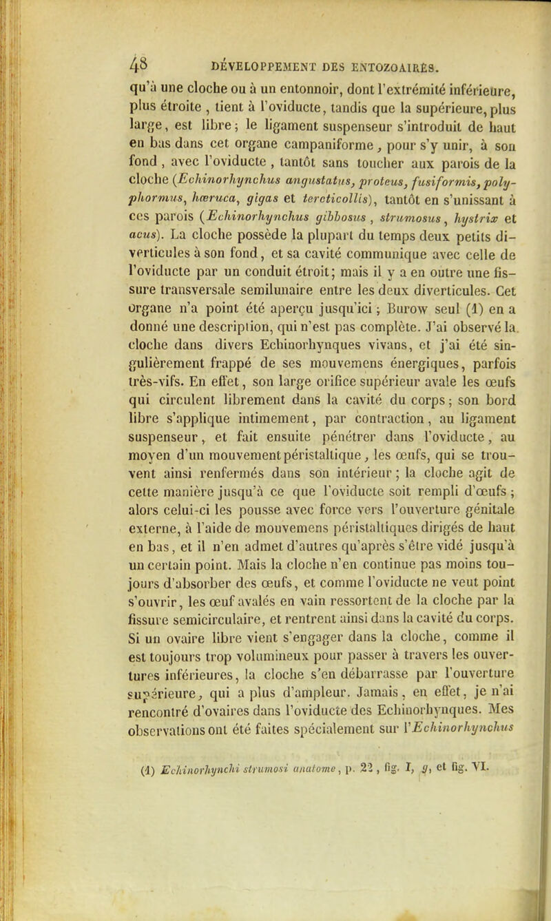 qu'à une cloche ou à un entonnoir, dont l'extrémité inférieure, plus étroite , tient à Toviducte, tandis que la supérieure, plus hr^e, est libre ; le ligament suspenseur s'introduit de haut en bas dans cet organe campaniforme, pour s'y unir, à son fond , avec l'oviducte , tantôt sans toucher aux parois de la cloche (Echinorhynchus angnstatus, proteus, fusiformis, poly- phormus^ hœruca, gigas et tercticollis), tantôt en s'unissant à ces parois {Echinorhynchus gihbosus, strumosus ^ hystrix et acus). La cloche possède la plupart du temps deux petits di- verticules à son fond, et sa cavité communique avec celle de l'oviducte par un conduit étroit; mais il y a en outre une fis- sure transversale semilunaire entre les deux diverticules. Cet Organe n'a point été aperçu jusqu'ici ; Burow seul (1) en a donné une description, qui n'est pas complète. J'ai observé la. cloche dans divers Echinorhynques vivans, et j'ai été sin- gulièrement frappé de ses mouvemens énergiques, parfois très-vifs. En efi'et, son large orifice supérieur avale les œufs qui circulent librement dans la cavité du corps ; son bord libre s'applique intimement, par contraction, au ligament suspenseur, et fait ensuite pénétrer dans l'oviducte, au moyen d'un mouvement péristallique, les œufs, qui se trou- vent ainsi renfermés dans son intérieur ; la cloche agit de cette manière jusqu'à ce que l'oviducte soit rempli d'œufs ; alors celui-ci les pousse avec force vers l'ouverture génitale externe, à l'aide de mouvemens péristalliques dirigés de haut en bas, et il n'en admet d'autres qu'après s'êlre vidé jusqu'à un certain point. Mais la cloche n'en continue pas moins tou- jours d'absorber des œufs, et comme l'oviducte ne veut point s'ouvrir, les œuf avalés en vain ressortont de la cloche par la fissure semicirculaire, et rentrent ainsi dans la cavité du corps. Si un ovaire libre vient s'engager dans la cloche, comme il est toujours trop volumineux pour passer à travers les ouver- tures inférieures, la cloche s'en débarrasse par l'ouverture suj>érieure, qui a plus d'aniipleur. Jamais, en effet, je n'ai rencontré d'ovaires dans l'oviducte des Echinorhynques. Mes observations ont été faites spécialement sur ïEchinorhynchus (4) Ec'hinorhjnchi strumosi a/iafome, p. 22 , fig. I, ^, et fig. YI.