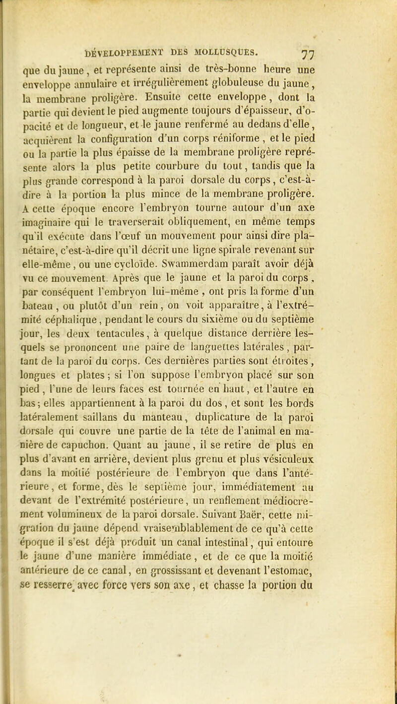 que du jaune , et représente ainsi de très-bonne heure une enveloppe annulaire et irrégulièrement {flobuleuse du jaune, la membrane proligère. Ensuite cette enveloppe, dont la partie qui devient le pied augmente toujours d'épaisseur, d'o- pacité et de longueur, et le jaune renfermé au dedans d'elle, acquièrent la configuration d'un corps réniforme , et le pied ou la partie la plus épaisse de la membrane proligère repré- sente alors la plus petite courbure du tout, tandis que la plus grande correspond à la paroi dorsale du corps, c'est-à- dire à la portion la plus mince de la membrane proligère. A cette époque encore l'embryon tourne autour d'un axe imaginaire qui le traverserait obliquement, en même temps qu'il exécute dans l'œuf un mouvement pour ainsi dire pla- nétaire, c'est-à-dire qu'il décrit une ligne spirale revenant sur elle-même, ou une cycloïde. Swammerdam paraît avoir déjà vu ce mouvement. Après que le jaune et la paroi du corps , par conséquent l'embryon lui-même , ont pris la forme d'un bateau , ou plutôt d'un rein, on voit apparaître, à l'extré- mité céphalique, pendant le cours du sixième ou du septième jour, les deux tentacules, à quelque distance derrière les- quels se prononcent une paire de languettes latérales, par- tant de la paroi du corps. Ces dernières parties sont étroites, longues et plates ; si l'on suppose l'embryon placé sur son pied , l'une de leurs faces est tournée en haut, et l'autre en bas ; elles appartiennent à la paroi du dos, et sont les bords latéralement saillans du manteau, duplicature de la paroi dorsale qui couvre une partie de la tête de l'animal en ma- nière de capuchon. Quant au jaune, il se retire de plus en plus d'avant en arrière, devient plus grenu et plus vésiculeux dans la moitié postérieure de l'embryon que dans l'anté- rieure, et forme, dès le septième jour, immédiatement au devant de l'extrémité postérieure, un renflement médiocre- ment volumineux de la paroi dorsale. Suivant Baër, cette mi- gration du jaune dépend vraisemblablement de ce qu'à cette époque il s'est déjà produit un canal intestinal, qui entoure le jaune d'une manière immédiate, et de ce que la moitié antérieure de ce canal, en grossissant et devenant l'estomac, se resserre^ avec force vers son axe, et chasse la portion du