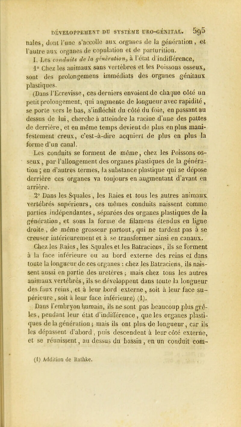 ttales, dont l'une s'accolle aux. orfpues de la génération, et l'aulre aux organes de copulation et de pariurition. I. Les conduits de la génération, à l'état d indiOerence, 1° Chez les animaux sans vertèbres et les Poissons osseux, sont des prolongemens immédiats des organes génitaux plastiques. (Dans l'Ecrevisse, ces derniers envoient de cliarjue côté un petit prolongement, qui augmente de longueur avec rapidité, se porte vers le bas, s'infléchit du côté du foie, en passant au dessus de lui, cherche à atteindre la racine d'une des pattes de derrière, et en même temps devient de plus en plus mani- festement creux, c'est-à-dire acquiert de plus en plus la forme d'un canal. Les conduits se forment de même, chez les Poissons os- seux , par l'allongement des organes plastiques de la généra- tion ; en d'autres termes, la substance plastique qui se dépose derrière ces organes va toujours en augmentant d'avant en arrière. 2° Dans les Squales , les Raies et tous les autres animaux vertébrés supérieurs, ces mêmes conduits naissent comme parties indépendantes, séparées des organes plastiques de la génération, et sous la forme de filamens étendus en ligne droite , de même grosseur partout, qui ne tardent pas à se creuser intérieurement et à se transformer ainsi en canaux. Chez les Raies, les Squales et les Batraciens, ils se forment à la face inférieure ou au bord externe des reins et dans toute la longueur de ces organes : chez les Batraciens, ils nais- sent aussi en partie des uretères ; mais chez tous les autres animaux vertébrés, ils se développent dans toute la longueur des faux reins, et à leur bord externe, soit à leur face su- périeure , soit à leur face inférieure) (1). Dans l'embryon humain, ils ne sont pas beaucoup plus gi'ê- les, pendant leur état d'indifférence, que les organes plasti- ques de la génération ; mais ils ont plus de longueur, car ils les dépassent d'abord, puis descendent à leur côté externe, et se réunissent, au dessus du bassin, en un conduit com-