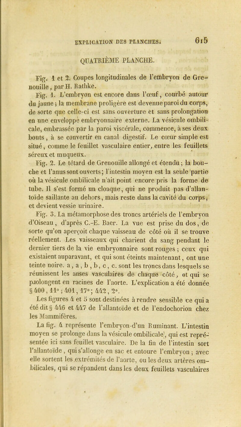 6x5 QUATRIÈME PLANCHE. Ti{*. 1 et 2. Coupes longitudinales de l'embryon de Gre- nouille, par H. Ratlike. Fig. 1. L'embryon est encore dans l'œuf, courbé autour du jaune ; la membrane prolifjère est devenue paroi du corps, de sorte que celle-ci est sans ouverture et sans prolongation en une enveloppé embryonnaire externe. La vésicule ombili- cale, embrassée par la paroi viscérale, commence, à ses deux bouts , à se convertir en canal digestif. Le cœur simple est situé, comme le feuillet vasculaire entier, entre les feuillets séreux et muqueux. Fig. 2. Le têtard de Grenouille allongé et étendu; la bou- che et l'anus sont ouverts ; l'intestin moyen est la seule partie oii la vésicule ombilicale n'ait point encore pris la forme de tube. Il s'est formé un cloaque, qui ne produit pas d'allan- toïde saillante au dehors, mais reste dans la cavité du corps^ et devient vessie urinaire. Fig. 3. La métamorphose des troncs artériels de l'embryon d'Oiseau, d'après C.-E. Baer. La vue est prise du dos, de sorte qu'on aperçoit chaque vaisseau de côté où il se trouve réellement. Les vaisseaux qui charient du sang pendant le dernier tiers de la vie embryonnaire sont rouges ; ceux qui existaient auparavant, et qui sont éteints maintenant, ont une teinte noire, a, a, b , b, c, c. sont les troncs dans lesquels se réunissent les anses vasculaires de chaque côté, et qui se pjolongent en racines de l'aorte. L'explication a été donnée §400,11°; 401,17°; 442, 2». Les figures 4 et 5 sont destinées à rendre sensible ce qui a été dit § 446 et 447 de l'allantoïde et de l'endochorion chez les Mammifères. La fig. 4 représente l'embryon-d'un Ruminant. L'intestin moyen se prolonge dans la vésicule ombilicale], qui est repré- sentée ici sans feuillet vasculaire. De la fin de l'intestin sort l'allantoïde, qui s'allonge en sac et entoure l'embryon ; avec elle sortent les .extrémités de l'aorte, ou les deux artères om- bilicales, qui se répandent dans les deux feuillets vasculaires