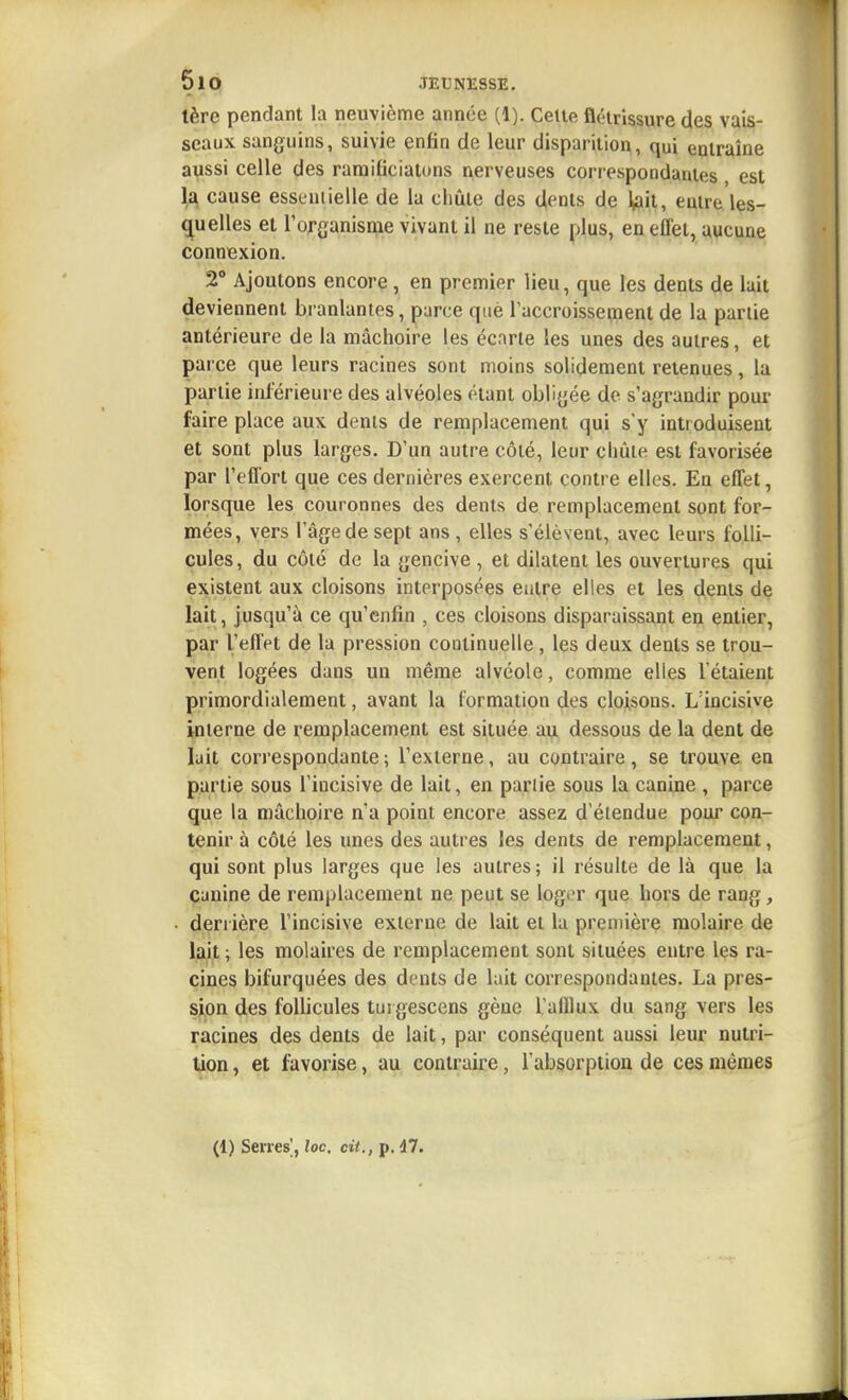 tère pendant la neuvième année (1). Celle flétrissure des vais- seaux sanguins, suivie enfin de leur disparition, qui entraîne aussi celle des raraificiatons nerveuses correspondantes est l,a cause essentielle de la chute des dents de Itait, entre les- quelles et rorganisme vivant il ne reste plus, en effet, aucune connexion. 2° Ajoutons encore, en premier lieu, que les dents de lait deviennent branlantes, parce que l'accroissement de la partie antérieure de la mâchoire les écnrle les unes des autres, et parce que leurs racines sont moins solidement retenues, la partie inférieure des alvéoles étant obligée de s'agrandir pour faire place aux dents de remplacement qui s'y intr oduisent et sont plus larges. D'un autre côté, leur chute est favorisée par l'effort que ces dernières exercent contre elles. En effet, lorsque les couronnes des dents de remplacement sont for- mées, vers l'âge de sept ans , elles s'élèvent, avec leurs folli- cules, du côté de la gencive , et dilatent les ouvertures qui existent aux cloisons interposées entre elles et les dents de lait, jusqu'à ce qu'enfin , ces cloisons disparaissant en entier, par l'effet de la pression continuelle, les deux dents se trou- vent logées dans un même alvéole, comme elles l'étaient primordialement, avant la lormation des cloisons. L incisive interne de remplacement est située au dessous de la dent de lait correspondante; l'externe, au contraire, se trouve en partie sous l'incisive de lait, en pariie sous la canine , parce que la mâchoire n'a point encore assez d'étendue pour con- tenir à côté les unes des autres les dents de remplacement, qui sont plus larges que les autres; il résulte de là que la canine de remplacement ne peut se loger que hors de rang, deriière l'incisive externe de lait et la première molaire de lait ; les molaires de remplacement sont situées entre les ra- cines bifurquées des dents de lait correspondantes. La pres- sion des follicules tu! gescens gène l'aftlux du sang vers les racines des dents de lait, par conséquent aussi leur nutri- tion , et favorise, au contraire, l'absorption de ces mêmes