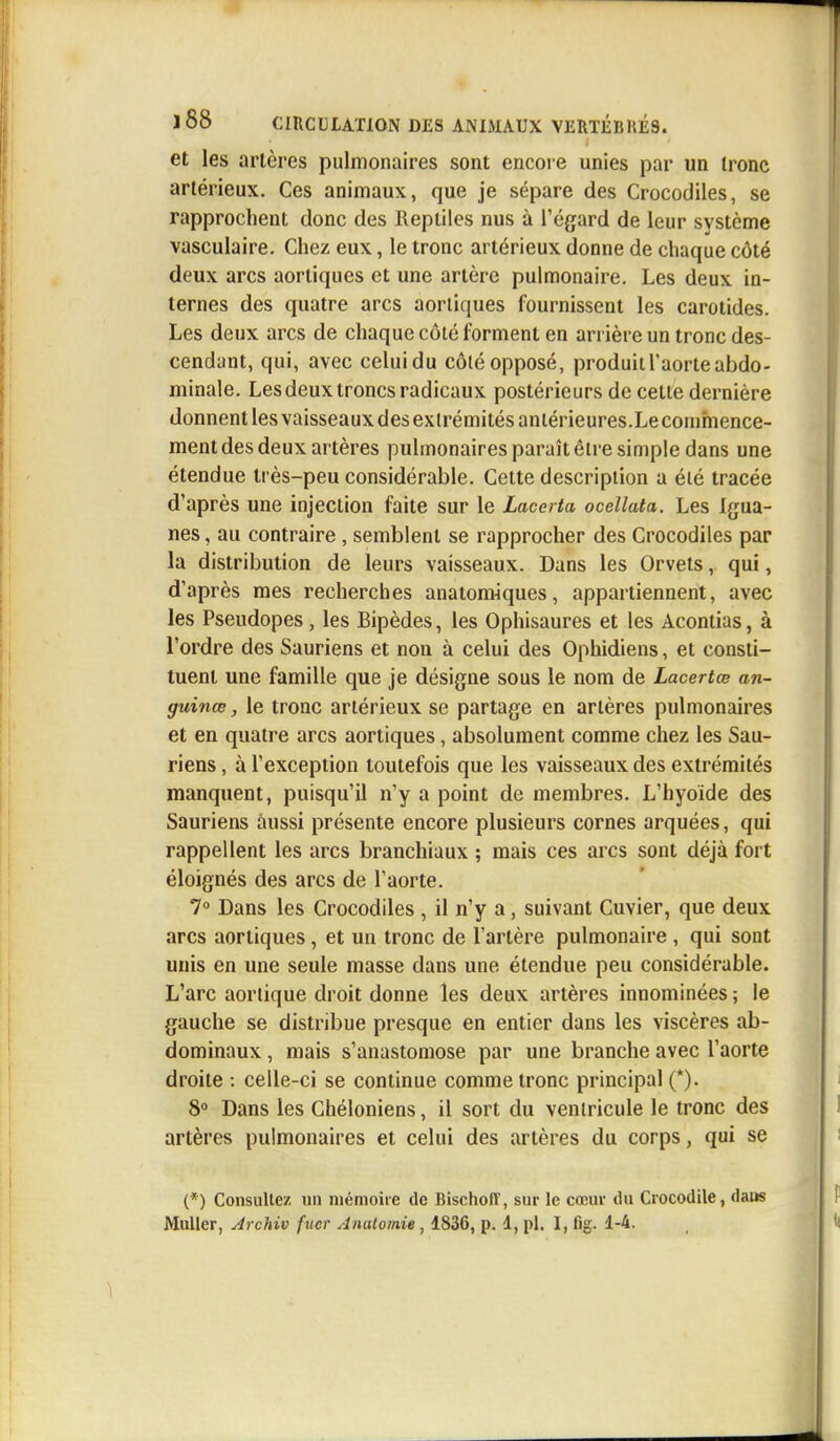 et les artères pulmonaires sont encore unies par un tronc artérieux. Ces animaux, que je sépare des Crocodiles, se rapprochent donc des Reptiles nus à l'égard de leur système vasculaire. Chez eux, le tronc artérieux donne de chaque côté deux arcs aortiques et une artère pulmonaire. Les deux in- ternes des quatre arcs aorliques fournissent les carotides. Les deux arcs de chaque côté forment en arrière un tronc des- cendant, qui, avec celui du côlé opposé, produit l'aorte abdo- minale. Les deux troncs radicaux postérieurs de celte dernière donnent les vaisseaux des extrémités antérieures.Le commence- ment des deux artères pulmonaires paraît êlre simple dans une étendue très-peu considérable. Cette description a été tracée d'après une injection faite sur le Lacerta ocellata. Les Igua- nes , au contraire , semblent se rapprocher des Crocodiles par la distribution de leurs vaisseaux. Dans les Orvets, qui, d'après mes recherches anatom-iques, appartiennent, avec les Pseudopes, les Bipèdes, les Ophisaures et les Acontias, à l'ordre des Sauriens et non à celui des Ophidiens, et consti- tuent une famille que je désigne sous le nom de Lacertœ an- guinœ, le tronc artérieux se partage en artères pulmonaires et en quatre arcs aortiques, absolument comme chez les Sau- riens , à l'exception toutefois que les vaisseaux des extrémités manquent, puisqu'il n'y a point de membres. L'hyoïde des Sauriens ùussi présente encore plusieurs cornes arquées, qui rappellent les arcs branchiaux ; mais ces arcs sont déjà fort éloignés des arcs de l'aorte. 7° Dans les Crocodiles , il n'y a, suivant Cuvier, que deux arcs aortiques, et un tronc de l'artère pulmonaire , qui sont unis en une seule masse clans une étendue peu considérable. L'arc aorlique droit donne les deux artères innommées ; le gauche se distribue presque en entier dans les viscères ab- dominaux , mais s'anastomose par une branche avec l'aorte droite : celle-ci se continue comme tronc principal (*). 8° Dans les Chéloniens, il sort du ventricule le tronc des artères pulmonaires et celui des artères du corps, qui se (*) Consultez un mémoire de Bischoff, sur le cœur du Crocodile, daus Muller, Archiv fucr Anatomie, 1836, p. 1, pl. I, fig. 1-4.