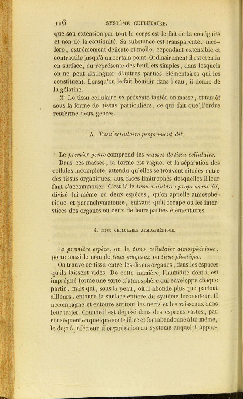 que son extension par tout le corps est le fait de la continuité et non de la continuité. Sa substance est transparente, inco- lore , extrêmement délicate et molle, cependant extensible et contractile jusqu'à un certain point. Ordinairement il est étendu en surface, ou représente des feuillets simples, dans lesquels on ne peut distinguer d'autres parties élémentaires qui les constituent. Lorsqu'on le fait bouillir dans l'eau, il donne de la gélatine. 2° Le tissu cellulaire se présente tantôt en masse, et tantôt sous la forme de tissus particuliers, ce qui fait que* l'ordre renferme deux genres. A. Tissu cellulaire proprement dit. Le premier genre comprend les masses de tissu cellulaire. Dans ces masses , la forme est vague, et la séparation des cellules incomplète, attendu qu'elles se trouvent situées entre des tissus organiques, aux faces limitrophes desquelles il leur faut s'accommoder. C'est là le tissu cellulaire proprement dit, divisé lui-même en deux espèces, qu'on appelle atmosphé- rique et parenchymateuse, suivant qu'il occupe ou les inter- stices des organes ou ceux de leurs parties élémentaires. 1. TISSU CELLULAIRE ATMOSPHÉRIQUE. La première espèce, ou le tissu cellulaire atmosphérique, porte aussi le nom de tissu muqueux OU tissu plastique. On trouve ce tissu entre les divers organes , dans les espaces qu'ils laissent vides. De cette manière, l'humidité dont il est imprégné forme une sorte d'atmosphère qui enveloppe chaque partie, mais qui, sous la peau, où il abonde plus que partout ailleurs, entoure la surface entière du système locomoteur. Il accompagne et entoure surtout les nerfs et les vaisseaux dans leur trajet. Comme il est déposé dans des espaces vastes, par conséquentenquelque sorte libre et fortabandonné à lui-même, le degré inférieur d'organisation du système auquel il appar-