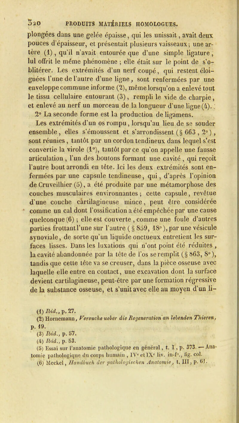 plongées dans une gelée épaisse, qui les unissait, avait deux pouces d'épaisseur, et présentait plusieurs vaisseaux ; une ar- tère (1), qu'il n'avait entourée que d'une simple ligature , lui offrit le même phénomène ; elle était sur le point de s'o- blitérer. Les extrémités d'un nerf coupé, qui restent éloi- gnées l'une de l'autre d'une ligne, sont renfermées par une enveloppe commune informe (2), même lorsqu'on a enlevé tout le tissu cellulaire entourant (3), rempli le vide de charpie, et enlevé au nerf un morceau de la longueur d'une ligne (4). ; 2° La seconde forme est la production de ligamens. Les extrémités d'un os rompu, lorsqu'au lieu de se souder ensemble, elles s'émoussent et s'arrondissent (§ C63 , 2°), sont réunies, tantôt par un cordon tendineux dans lequel s'est convertie la virole (1°), tantôt par ce qu'on appelle une fausse articulation , l'un des boutons formant une cavité , qui reçoit l'autre bout arrondi en tête. Ici les deux extrémités sont en- fermées par une capsule tendineuse, qui, d'après l'opinion de Cruveilhier (5), a été produite par une métamorphose des couches musculaires environnantes ; celte capsule, revêtue d'une couche cartilagineuse mince, peut être considérée • comme un cal dont l'ossification a été empêchée par une cause quelconque (6) ; elle est couverte , comme une foule d'autres parties frottant l'une sur l'autre (§859, 48°), par une vésicule synoviale, de sorte qu'un liquide onctueux entretient les sur- faces lisses. Dans les luxations qui n'ont point été réduites , la cavité abandonnée par la tête de l'os se remplit (§ 863, 8°), tandis que celle tête va se creuser, dans la pièce osseuse avec laquelle elle entre en contact, une excavation dont la surface devient cartilagineuse, peut-être par une formation régressive de la substance osseuse, et s'unit avec elle au moyen d'un li- (4) Ibid., p. 27. (2) Hornemann, Versuche ueler die Régénération an îebenden Thieren, p. 49. (3) Ibid., p. 57. (4) Ibid., p. 53. (5) Essai sur l'anatomie pathologique en général, t. I, p. 373. — Ana- tomic pathologique du corps humain , IVe et IXe liv. in-f0., lig. col. (6) Meckel, Jffandbuch der paihologischen Anatomio, t. III, p. 61.