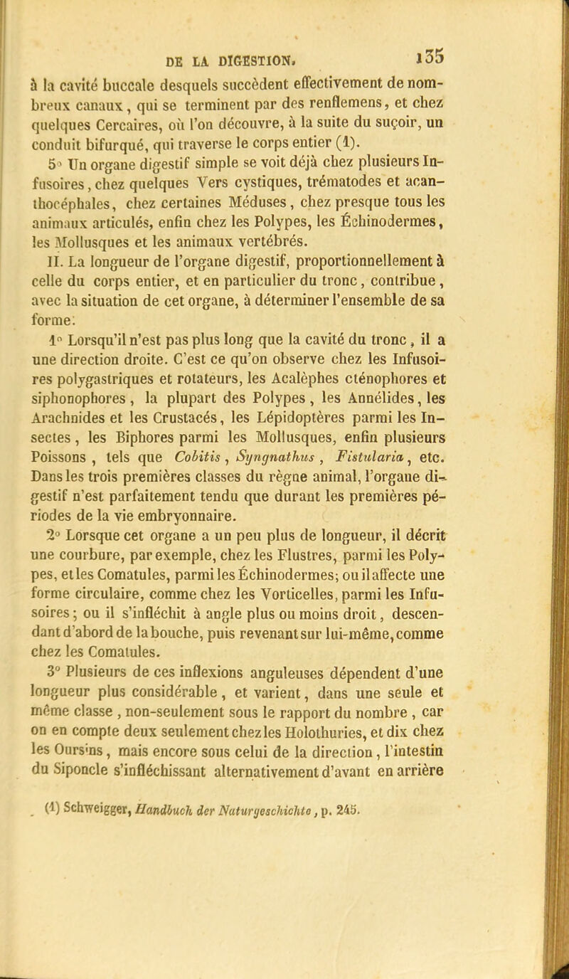 à la cavité buccale desquels succèdent effectivement de nom- breux canaux, qui se terminent par des renflemens, et chez quelques Cercaires, où l'on découvre, à la suite du suçoir, un conduit bifurqué, qui traverse le corps entier (1). 5 ' Un organe digestif simple se voit déjà chez plusieurs In- fusoires, chez quelques Vers cystiques, trématodes et acan- thocéphales, chez certaines Méduses, chez presque tous les animaux articulés, enfin chez les Polypes, les Éehinodermes, les Mollusques et les animaux vertébrés. IL La longueur de l'organe digestif, proportionnellement à celle du corps entier, et en particulier du tronc, contribue, avec la situation de cet organe, à déterminer l'ensemble de sa forme: 1° Lorsqu'il n'est pas plus long que la cavité du tronc, il a une direction droite. C'est ce qu'on observe chez les Infusoi- res polygastriques et rotateurs, les Acalèphes cténophores et siphonophores , la plupart des Polypes , les Annélides, les Arachnides et les Crustacés, les Lépidoptères parmi les In- sectes , les Biphores parmi les Mollusques, enfin plusieurs Poissons , tels que Cobitis , Syngnathus , Fistularia, etc. Dans les trois premières classes du règne animal, l'organe dU gestif n'est parfaitement tendu que durant les premières pé- riodes de la vie embryonnaire. 2° Lorsque cet organe a un peu plus de longueur, il décrit une courbure, par exemple, chez les Flustres, parmi les Poly- pes, etles Comatules, parmi les Échinodermes; ou il affecte une forme circulaire, comme chez les Vorticelles, parmi les Infu- soires ; ou il s'infléchit à angle plus ou moins droit, descen- dant d'abord de la bouche, puis revenant sur lui-même, comme chez les Comaiules. 3° Plusieurs de ces inflexions anguleuses dépendent d'une longueur plus considérable, et varient, dans une seule et morne classe , non-seulement sous le rapport du nombre , car on en compte deux seulement chez les Holothuries, et dix chez les Ours'ns, mais encore sous celui de la direction, l'intestin du Siponcle s'infléchissant alternativement d'avant en arrière (1) Schweigger, Uandbuch der Naturyeschichto, p. 245.