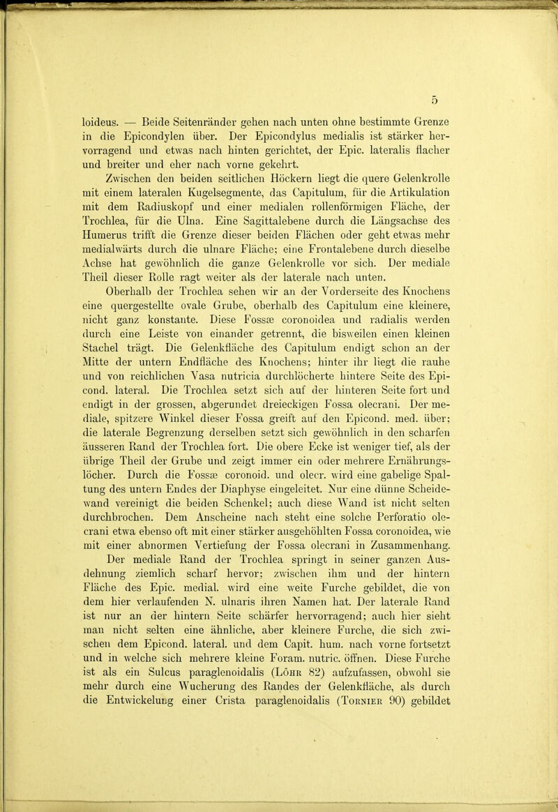 loideus. — Beide Seitenränder gehen nach unten ohne bestimmte Grenze in die Epicondylen über. Der Epicondylus medialis ist stärker her- vorragend und etwas nach hinten gerichtet, der Epic. lateralis flacher und breiter und eher nach vorne gekehrt. Zwischen den beiden seitlichen Höckern liegt die quere Gelenkrolle mit einem lateralen Kugelsegmente, das Capitulum, für die Artikulation mit dem Radiuskopf und einer medialen rollenförmigen Fläche, der Trochlea, für die Ulna. Eine Sagittalebene durch die Längsachse des Humerus trifft die Grenze dieser beiden Flächen oder geht etwas mehr medialwärts durch die ulnare Fläche; eine Frontalebene durch dieselbe Achse hat gewöhrdich die ganze Gelenkrolle vor sich. Der mediale Theil dieser Rolle ragt weiter als der laterale nach unten. Oberhalb der Trochlea sehen wir an der Vorderseite des Knochens eine quergestellte ovale Grube, oberhalb des Capitulum eine kleinere, nicht ganz konstante. Diese FossJse coronoidea und radialis werden durch eine Leiste von einander getrennt, die bisweilen einen kleinen Stachel trägt. Die Gelenkfläche des Capitulum endigt schon an der Mitte der untern Endfläche des Knochens; hinter ihr liegt die rauhe und von reichlichen Vasa nutricia durchlöcherte hintere Seite des Epi- cond. lateral. Die Trochlea setzt sich auf der hinteren Seite fort und endigt in der grossen, abgerundet dreieckigen Fossa olecrani. Der me- diale, spitzere Winkel dieser Fossa greift auf den Epicond. med. über; die laterale Begrenzung derselben setzt sich gewöhnlich in den scharfen äusseren Rand der Trochlea fort. Die obere Ecke ist weniger tief, als der übrige Theil der Grube und zeigt immer ein oder mehrere Ernährungs- löcher. Durch die Fossae coronoid. und olecr. wird eine gabelige Spal- tung des untern Endes der Diaphyse eingeleitet. Nur eine dünne Scheide- wand vereinigt die beiden Schenkel; auch diese Wand ist nicht selten durchbrochen. Dem Anscheine nach steht eine solche Perforatio ole- crani etwa ebenso oft mit einer stärker ausgehöhlten Fossa coronoidea, wie mit einer abnormen Vertiefung der Fossa olecrani in Zusammenhang. Der mediale Rand der Trochlea springt in seiner ganzen Aus- dehnung ziemlich scharf hervor; zwischen ihm und der hintern Fläche des Epic. medial, wird eine weite Furche gebildet, die von dem hier verlaufenden N. ulnaris ihren Namen hat. Der laterale Rand ist nur an der hintern Seite schärfer hervorragend; auch hier sieht man nicht selten eine ähnliche, aber kleinere Furche, die sich zwi- schen dem Epicond. lateral, und dem Capit. hum. nach vorne fortsetzt und in welche sich mehrere kleine Foram. nutric. öffnen. Diese Furche ist als ein Sulcus paraglenoidalis (Lohr 82) aufzufassen, obwohl sie mehr durch eine Wucherung des Randes der Gelenkfläche, als durch die Entwickelung einer Crista paraglenoidalis (Tornier 90) gebildet