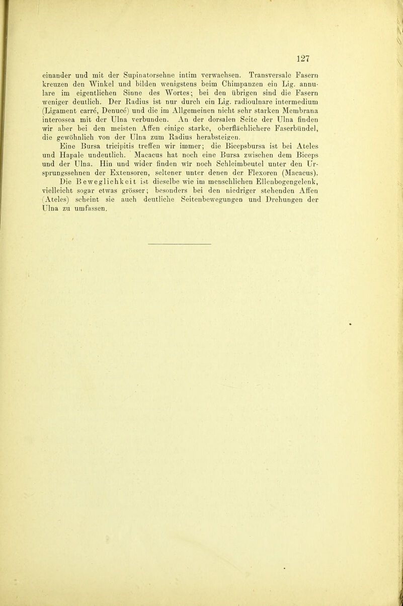 einander und mit der Supinatorsehne intim verwachsen. Transversale Fasern kreuzen den Winkel und bilden wenigstens beim Chimpanzen ein Lig. annu- lare im eigentlichen Sinne des Wortes; bei den übrigen sind die Fasern weniger deutlich. Der Radius ist nur durch ein Lig. radioulnare intermedium (Ligament carre, Denuce) und die im Allgemeinen nicht sehr starken Membrana interossea mit der Ulna verbunden. An der dorsalen Seite der Ulna finden wir aber bei den meisten Affen einige starke, oberflächlichere Faserbündel, die gewöhnlich von der Ulna zum Radius herabsteigen. Eine Bursa tricipitis treffen wir immer; die Bicepsbursa ist bei Ateles und Hapale undeutlich. Macacus hat noch eine Bursa zwischen dem Biceps und der Ulna. Hin und wider finden wir noch Schleimbeutel unter den Ur- sprungssehnen der Extensoren, seltener unter denen der Flexoren (Macacus). Die Beweglichkeit ist dieselbe wie im menschlichen Ellenbogengelenk, vielleicht sogar etwas grösser; besonders bei den niedriger stehenden Affen I Ateles) .scheint sie auch deutliche Seitenbewegungen und Drehungen der Ulna zu umfassen.