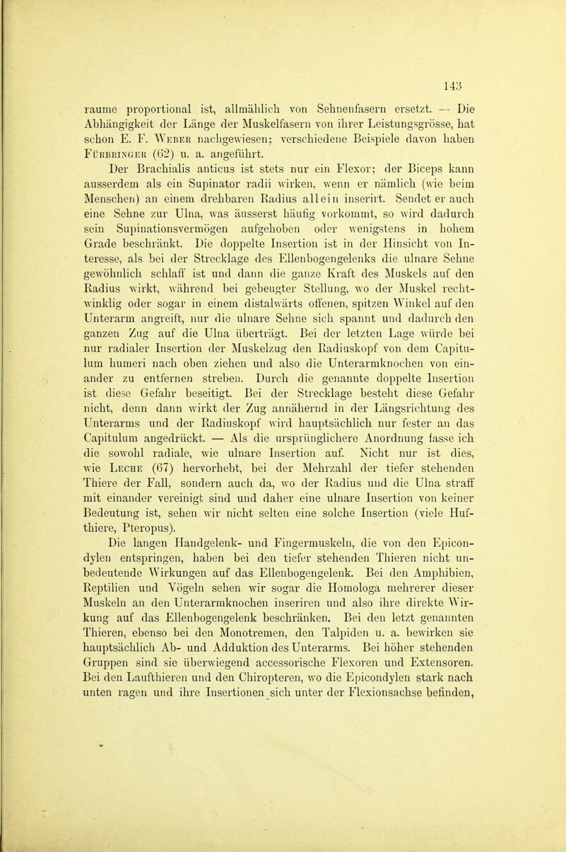räume proportional ist, allmählicli von Sehnenfasern ersetzt. — Die Abhängigkeit der Länge der Muskelfasern von ihrer Leistungsgrösse, hat schon E. F. Webkr nachgewiesen; verschiedene Beispiele davon haben FüRBRiNGER (62) u. a. angeführt. Der Brachialis anticus ist stets nur ein Flexor; der Biceps kann ausserdem als ein Supinator radii wirken, wenn er nämlich (wie beim Menschen) an einem drehbaren Radius allein inserirt. Sendet er auch eine Sehne zur Ulna, was äusserst häufig vorkommt, so wird, dadurch sein Supinationsvermögen aufgehoben oder wenigstens in hohem Grade beschränkt. Die doppelte Insertion ist in der Hinsicht von In- teresse, als bei der Strecklage des Ellenbogengelenks die ulnare Sehne gewöhnlich schlaft ist und dann die ganze Kraft des Muskels auf den Radius wirkt, während bei gebeugter Stellung, wo der Muskel recht- winklig oder sogar in einem distalwärts offenen, spitzen Winkel auf den Unterarm angreift, nur die ulnare Sehne sich spannt und dadurch den ganzen Zug auf die Ulna überträgt. Bei der letzten Lage würde bei nur radialer Insertion der Muskelzug den Radiuskopf von dem Capitu- lum humeri nach oben ziehen und also die Unterarmknochen von ein- ander zu entfernen streben. Durch die genannte doppelte Insertion ist diese Gefahr beseitigt. Bei der Strecklage besteht diese Gefahr nicht, denn dann wirkt der Zug annähernd in der Längsrichtung des Unterarms und der Radiuskopf wird hauptsächlich nur fester an das Capitulura angedrückt. — Als die ursprünglichere Anordnung fasse ich die sowohl radiale, wie ulnare Insertion auf. Nicht nur ist dies, wie Leche (67) hervorhebt, bei der Mehrzahl der tiefer stehenden Thiere der Fall, sondern auch da, wo der Radius und die Ulna straff mit einander vereinigt sind und daher eine ulnare Insertion von keiner Bedeutung ist, sehen wir nicht selten eine solche Insertion (viele Huf- thiere, Pteropus). Die langen Handgelenk- und Fingermuskeln, die von den Epicon- dylen entspringen, haben bei den tiefer stehenden Thieren nicht un- bedeutende Wirkungen auf das Ellenbogengelenk. Bei den Amphibien, Reptilien und Vögeln sehen wir sogar die Homologa mehrerer dieser Muskeln an den Unterarmknochen inseriren und also ihre direkte Wir- kung auf das Ellenbogengelenk beschränken. Bei den letzt genannten Thieren, ebenso bei den Monotremen, den Talpiden u. a. bewirken sie hauptsächlich Ab- und Adduktion des Unterarms. Bei höher stehenden Gruppen sind sie überwiegend accessorische Flexoren und Extensoren. Bei den Laufthieren und den Chiropteren, wo die Epicondylen stark nach unten ragen und ihre Insertionen sich unter der Flexionsachse befinden,