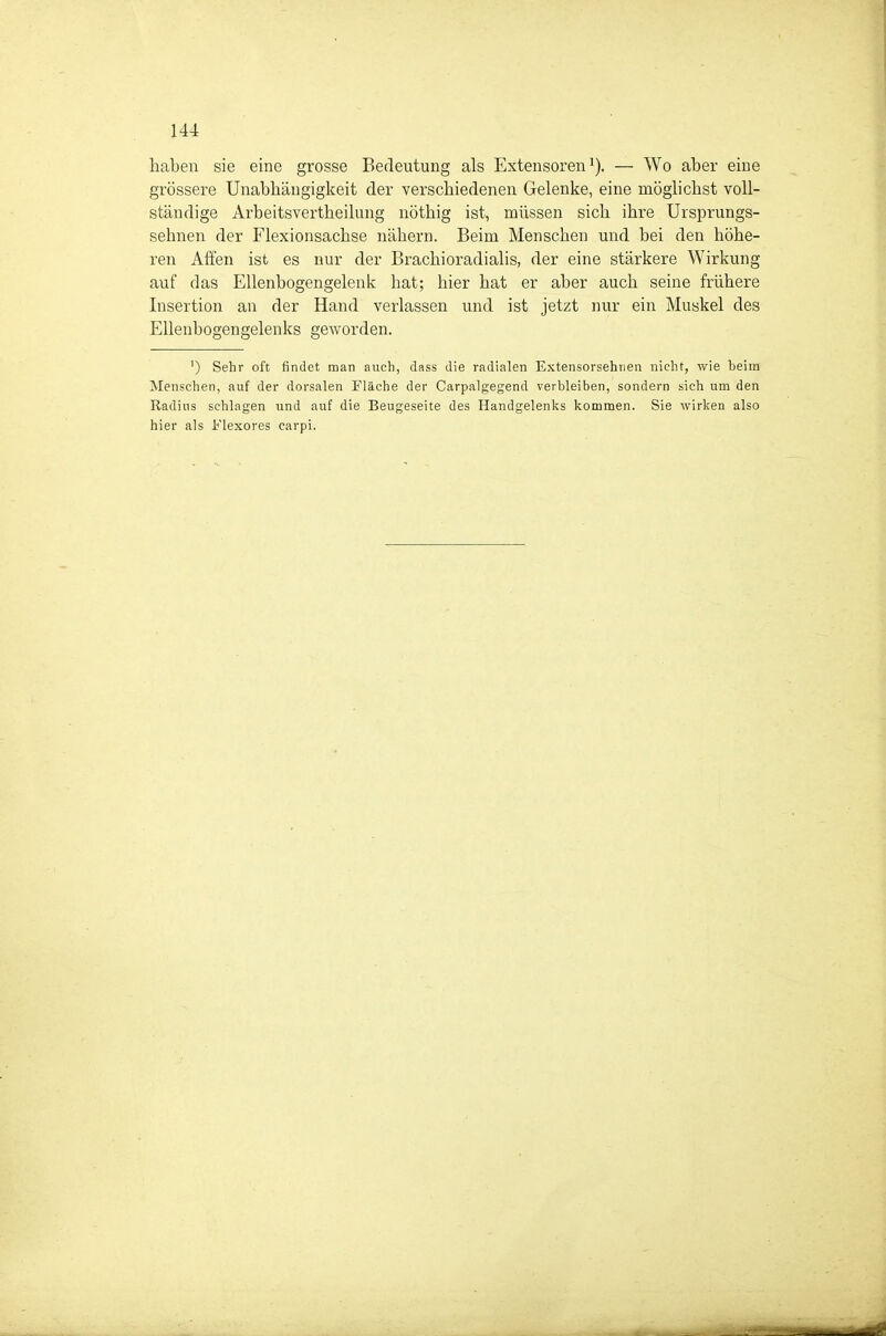 haben sie eine grosse Bedeutung als Extensoren — Wo aber eine grössere Unabhängigkeit der verschiedenen Gelenke, eine möglichst voll- ständige Arbeitsvertheilung nöthig ist, müssen sich ihre Ursprungs- sehnen der Flexionsachse nähern. Beim Menschen und bei den höhe- ren Affen ist es nur der Brachioradialis, der eine stärkere Wirkung auf das Ellenbogengelenk hat; hier hat er aber auch seine frühere Insertion an der Hand verlassen und ist jetzt nur ein Muskel des Ellenbogengelenks geworden. ') Sehr oft findet man auch, dass die radialen Extensorsehtien nicht, wie beim Menschen, auf der dorsalen Fläche der Carpalgegend verbleiben, sondern sich um den Radius schlagen und auf die Beugeseite des Handgelenks kommen. Sie wirken also hier als Klexores carpi.