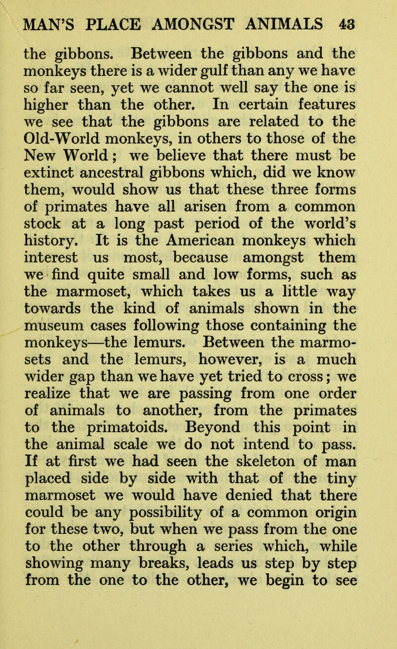 the gibbons. Between the gibbons and the monkeys there is a wider gulf than any we have so far seen, yet we cannot well say the one is higher than the other. In certain features we see that the gibbons are related to the Old-World monkeys, in others to those of the New World; we believe that there must be extinct ancestral gibbons which, did we know them, would show us that these three forms of primates have all arisen from a common stock at a long past period of the world's history. It is the American monkeys which interest us most, because amongst them we find quite small and low forms, such as the marmoset, which takes us a little way towards the kind of animals shown in the museum cases following those containing the monkeys—the lemurs. Between the marmo- sets and the lemurs, however, is a much wider gap than we have yet tried to cross; we realize that we are passing from one order of animals to another, from the primates to the primatoids. Beyond this point in the animal scale we do not intend to pass. If at first we had seen the skeleton of man placed side by side with that of the tiny marmoset we would have denied that there could be any possibility of a common origin for these two, but when we pass from the one to the other through a series which, while showing many breaks, leads us step by step from the one to the other, we begin to see