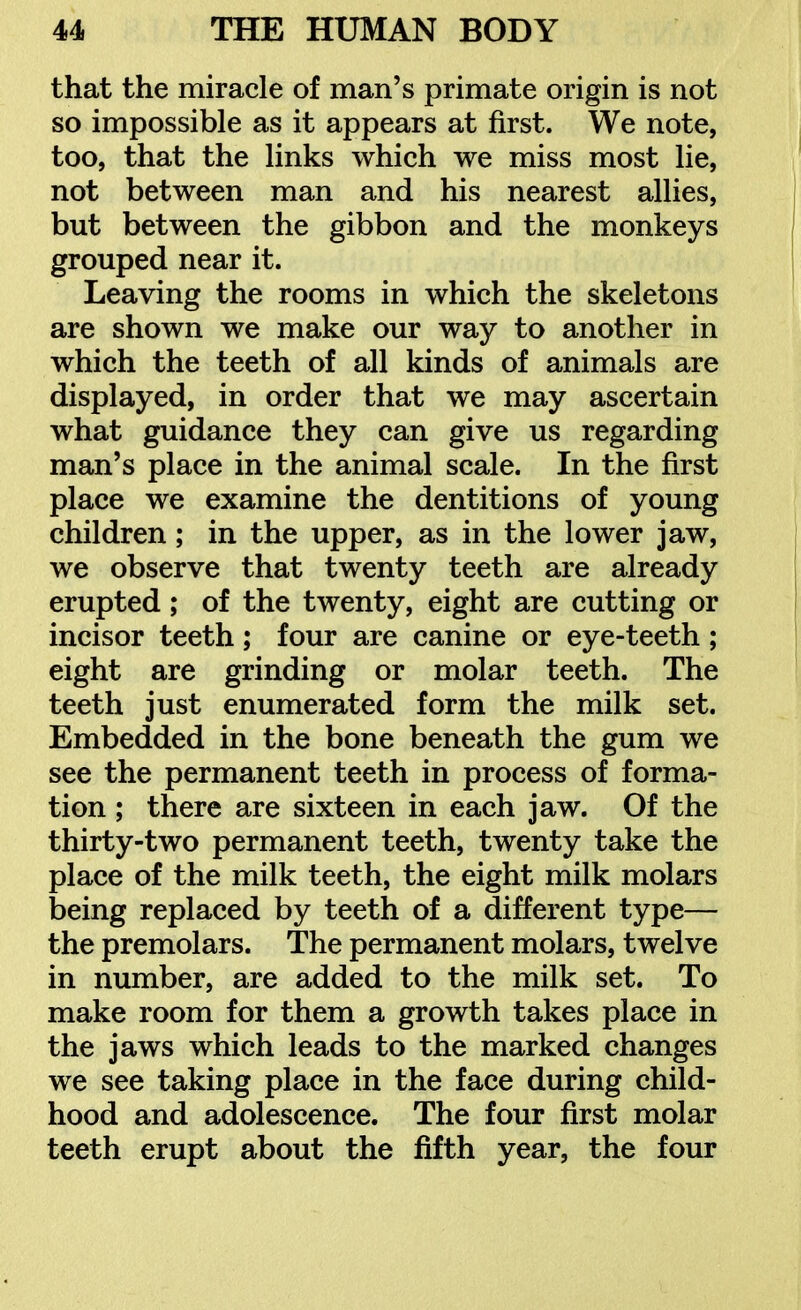 that the miracle of man's primate origin is not so impossible as it appears at first. We note, too, that the links which we miss most lie, not between man and his nearest allies, but between the gibbon and the monkeys grouped near it. Leaving the rooms in which the skeletons are shown we make our way to another in which the teeth of all kinds of animals are displayed, in order that we may ascertain what guidance they can give us regarding man's place in the animal scale. In the first place we examine the dentitions of young children; in the upper, as in the lower jaw, we observe that twenty teeth are already erupted; of the twenty, eight are cutting or incisor teeth; four are canine or eye-teeth; eight are grinding or molar teeth. The teeth just enumerated form the milk set. Embedded in the bone beneath the gum we see the permanent teeth in process of forma- tion ; there are sixteen in each jaw. Of the thirty-two permanent teeth, twenty take the place of the milk teeth, the eight milk molars being replaced by teeth of a different type— the premolars. The permanent molars, twelve in number, are added to the milk set. To make room for them a growth takes place in the jaws which leads to the marked changes we see taking place in the face during child- hood and adolescence. The four first molar teeth erupt about the fifth year, the four