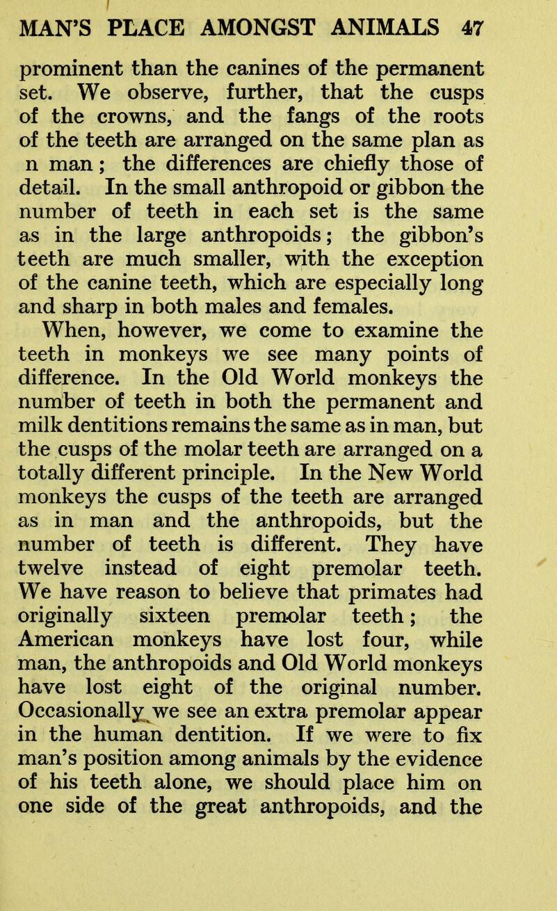 prominent than the canines of the permanent set. We observe, further, that the cusps of the crowns, and the fangs of the roots of the teeth are arranged on the same plan as n man; the differences are chiefly those of detail. In the small anthropoid or gibbon the number of teeth in each set is the same as in the large anthropoids; the gibbon's teeth are much smaller, with the exception of the canine teeth, which are especially long and sharp in both males and females. When, however, we come to examine the teeth in monkeys we see many points of difference. In the Old World monkeys the number of teeth in both the permanent and milk dentitions remains the same as in man, but the cusps of the molar teeth are arranged on a totally different principle. In the New World monkeys the cusps of the teeth are arranged as in man and the anthropoids, but the number of teeth is different. They have twelve instead of eight premolar teeth. We have reason to believe that primates had originally sixteen premolar teeth; the American monkeys have lost four, while man, the anthropoids and Old World monkeys have lost eight of the original number. Occasionally we see an extra premolar appear in the human dentition. If we were to fix man's position among animals by the evidence of his teeth alone, we should place him on one side of the great anthropoids, and the