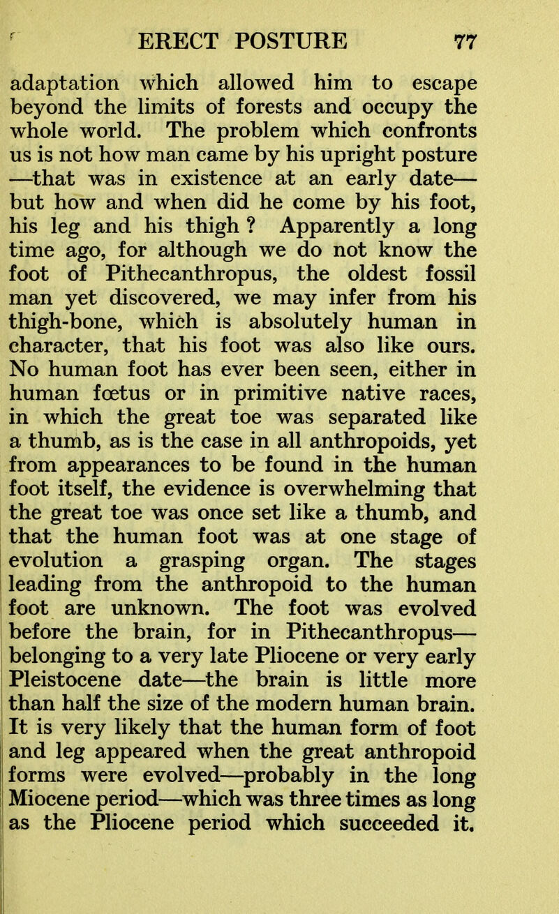 r adaptation which allowed him to escape beyond the limits of forests and occupy the whole world. The problem which confronts us is not how man came by his upright posture —^that was in existence at an early date— but how and when did he come by his foot, his leg and his thigh ? Apparently a long time ago, for although we do not know the foot of Pithecanthropus, the oldest fossil man yet discovered, we may infer from his thigh-bone, which is absolutely human in character, that his foot was also like ours. No human foot has ever been seen, either in human foetus or in primitive native races, in which the great toe was separated like a thumb, as is the case in all anthropoids, yet from appearances to be found in the human foot itself, the evidence is overwhelming that the great toe was once set like a thumb, and that the human foot was at one stage of evolution a grasping organ. The stages leading from the anthropoid to the human foot are unknown. The foot was evolved before the brain, for in Pithecanthropus— belonging to a very late Pliocene or very early Pleistocene date—the brain is little more than half the size of the modern human brain. It is very likely that the human form of foot and leg appeared when the great anthropoid forms were evolved—^probably in the long Miocene period—which was three times as long as the Pliocene period which succeeded it.