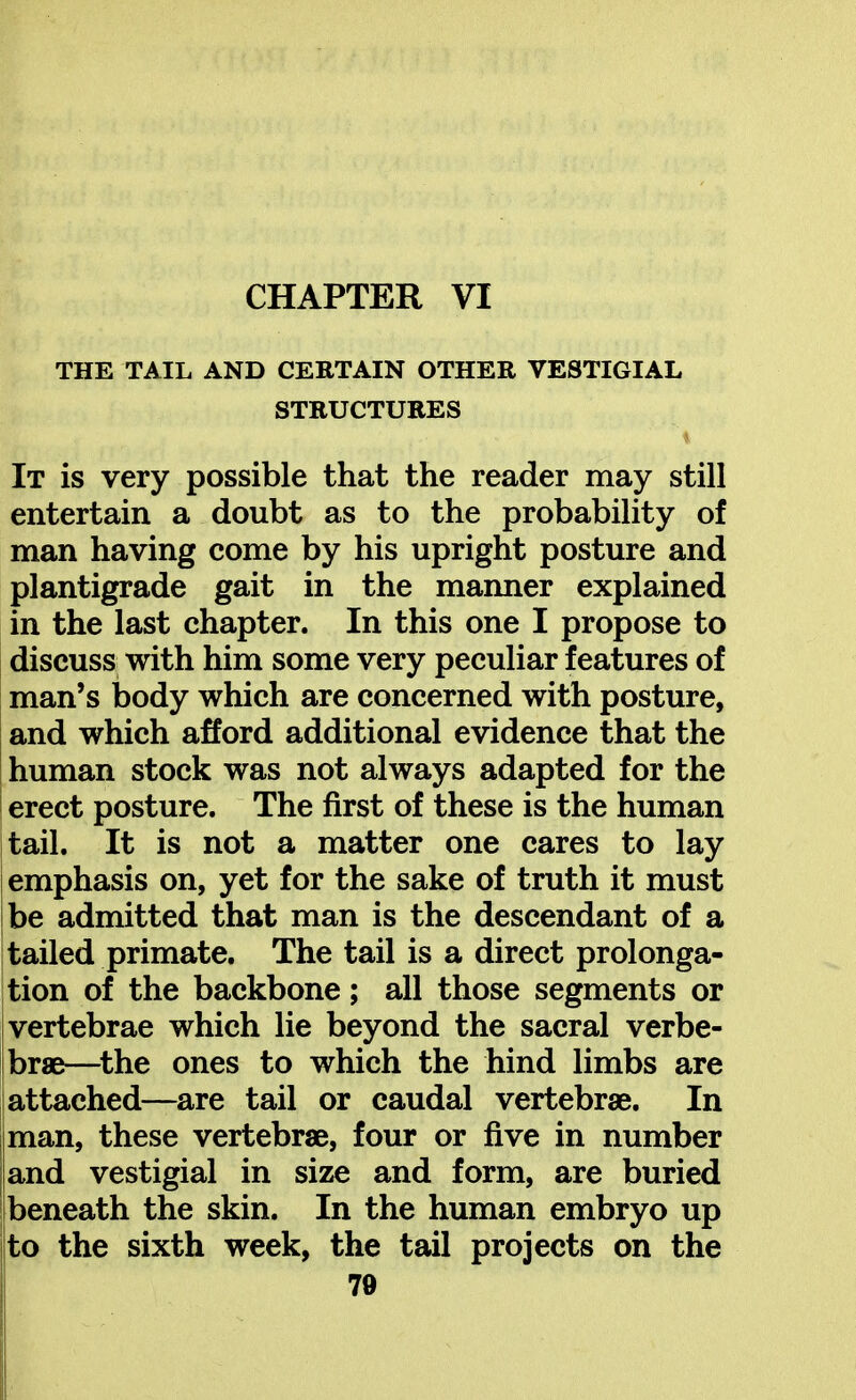 CHAPTER VI THE TAIL AND CERTAIN OTHER VESTIGIAL STRUCTURES It is very possible that the reader may still entertain a doubt as to the probability of man having come by his upright posture and plantigrade gait in the manner explained in the last chapter. In this one I propose to discuss with him some very peculiar features of man's body which are concerned with posture, and which afford additional evidence that the human stock was not always adapted for the erect posture. The first of these is the human tail. It is not a matter one cares to lay j emphasis on, yet for the sake of truth it must be admitted that man is the descendant of a tailed primate. The tail is a direct prolonga- tion of the backbone; all those segments or I vertebrae which lie beyond the sacral verbe- ibrae—^the ones to which the hind limbs are attached—are tail or caudal vertebrae. In man, these vertebrae, four or five in number and vestigial in size and form, are buried i beneath the skin. In the human embryo up to the sixth week, the tail projects on the 70