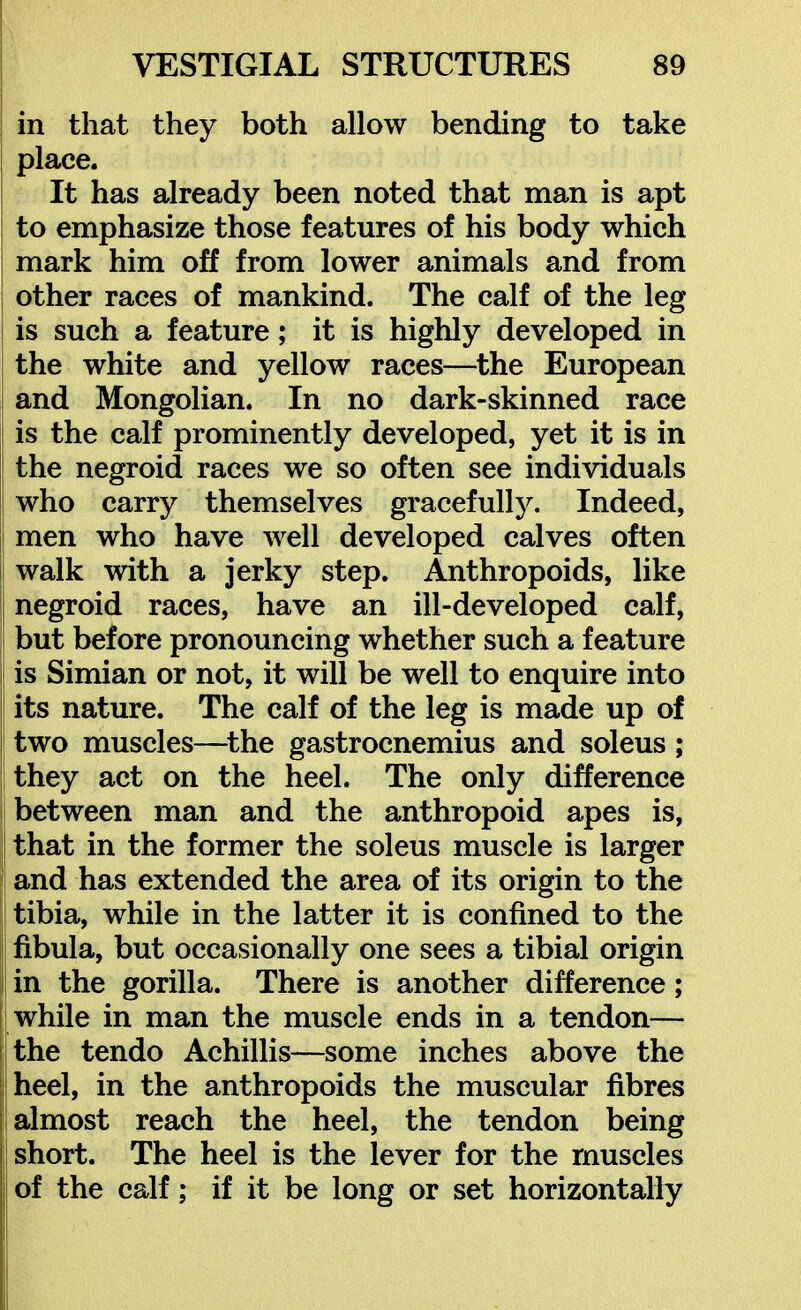 in that they both allow bending to take place. It has already been noted that man is apt to emphasize those features of his body which i mark him off from lower animals and from I other races of mankind. The calf of the leg is such a feature; it is highly developed in the white and yellow races—the European and Mongolian. In no dark-skinned race i is the calf prominently developed, yet it is in the negroid races we so often see individuals j who carry themselves gracefully. Indeed, I men who have well developed calves often I walk with a jerky step. Anthropoids, like negroid races, have an ill-developed calf, I but before pronouncing whether such a feature i is Simian or not, it will be well to enquire into I its nature. The calf of the leg is made up of I two muscles—^the gastrocnemius and soleus ; jthey act on the heel. The only difference I between man and the anthropoid apes is, j that in the former the soleus muscle is larger i and has extended the area of its origin to the I tibia, while in the latter it is confined to the I fibula, but occasionally one sees a tibial origin ! in the gorilla. There is another difference; ' while in man the muscle ends in a tendon— the tendo Achillis—some inches above the heel, in the anthropoids the muscular fibres almost reach the heel, the tendon being |i short. The heel is the lever for the muscles j of the calf; if it be long or set horizontally