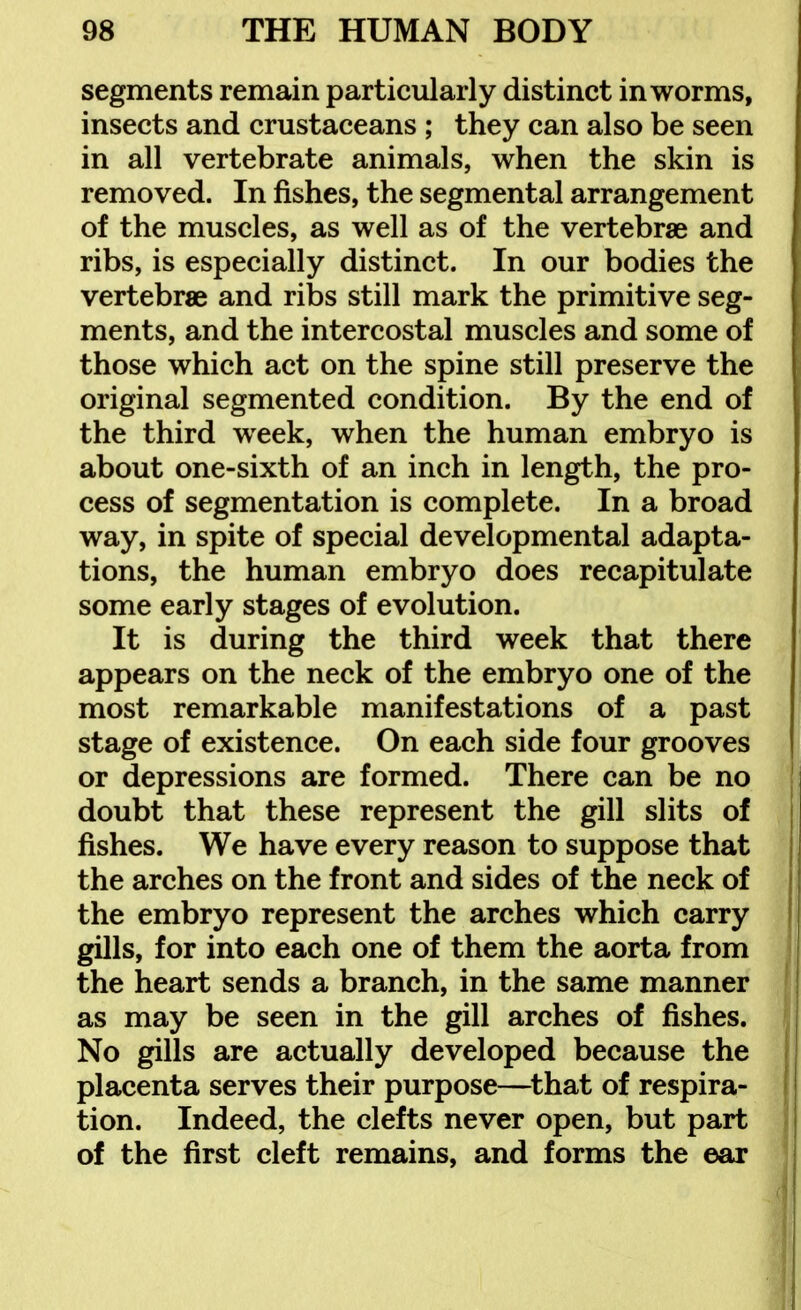 segments remain particularly distinct in worms, insects and crustaceans ; they can also be seen in all vertebrate animals, when the skin is removed. In fishes, the segmental arrangement of the muscles, as well as of the vertebrae and ribs, is especially distinct. In our bodies the vertebrae and ribs still mark the primitive seg- ments, and the intercostal muscles and some of those which act on the spine still preserve the original segmented condition. By the end of the third week, when the human embryo is about one-sixth of an inch in length, the pro- cess of segmentation is complete. In a broad way, in spite of special developmental adapta- tions, the human embryo does recapitulate some early stages of evolution. It is during the third week that there appears on the neck of the embryo one of the most remarkable manifestations of a past stage of existence. On each side four grooves or depressions are formed. There can be no doubt that these represent the gill slits of fishes. We have every reason to suppose that the arches on the front and sides of the neck of the embryo represent the arches which carry gills, for into each one of them the aorta from the heart sends a branch, in the same manner as may be seen in the gill arches of fishes. No gills are actually developed because the placenta serves their purpose—^that of respira- tion. Indeed, the clefts never open, but part of the first cleft remains, and forms the ear