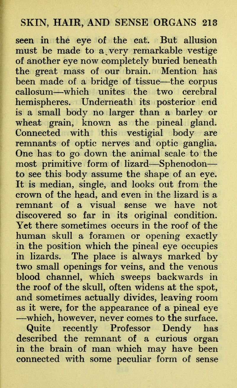 seen in the eye of the eat. But allusion must be made to a ^ very remarkable vestige of another eye now completely buried beneath the great mass of our brain. Mention has been made of a bridge of tissue—the corpus callosum—which unites the two cerebral hemispheres. Underneath its posterior end is a small body no larger than a barley or wheat grain, known as the pineal gland. Connected with this vestigial body are remnants of optic nerves and optic ganglia. One has to go down the animal scale to the most primitive form of lizard—Sphenodon— to see this body assume the shape of an eye. It is median, single, and looks out from the crown of the h^ad, and even in the lizard is a remnant of a visual sense we have not discovered so far in its original condition. Yet there sometimes occurs in the roof of the human skull a foramen or opening exactly in the position which the pineal eye occupies in lizards. The place is always marked by two small openings for veins, and the venous blood channel, which sweeps backwards in the roof of the skull, often widens at the spot, and sometimes actually divides, leaving room as it were, for the appearance of a pineal eye —which, however, never comes to the surface. Quite recently Professor Dendy has described the remnant of a curious organ in the brain of man which may have been connected with some peculiar form of sense