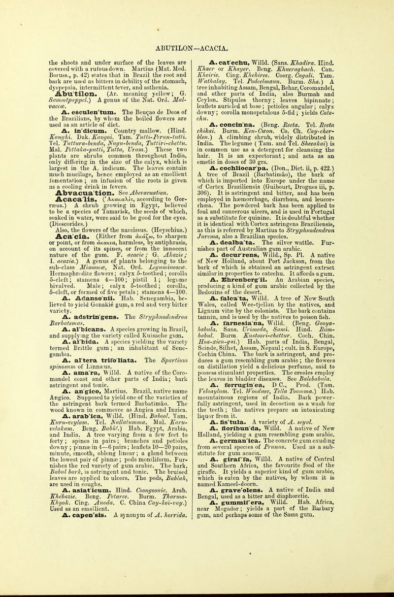 ABUTILON —ACACIA. the shoots and under surface of the leaves are covered with a rufous down. Martius (Mat. Med. Boruss., p. 42) states that in Brazil the root and bark are used as bitters in debility of the stomach, dyspepsia, intermittent fever, and asthenia. Abu'tilon. (Ar. meaning yellow; G. Sammtpappd.) A genus of the Nat. Ord. Mal- vacece. A. esculen'tum. The Beuqao de Deos of the Brazilians, by whom the boiled flowers are used as an article of diet. A. in'dicum. Country mallow. (Hind. Kanghi. Dak. Kangoi. Tarn. Tutti-Ptriin-tutti. Tel. Tuttura-benda, Nagu-benda, Tuttiri-chettu. Mai. Pdtaka-putti, Tutta, Uram.) These two plants are shrubs common throughout India, only differing in the size of the calyx, which is largest in the A. indicum. The leaves contain much mucilage, hence employed as an emollient fomentation ; an infusion of the roots is given as a cooling drink in fevers. Abvacua tion. See Abevaeuation. Acaca lis. ('Axa/coXis, according to Gor- raeus.) A shrub growing in Egypt, believed to be a species of Tamarisk, the seeds of which, soaked in water, were said to be good for the eyes. (Dioscorides.) Also, the flowers of the narcissus. (Heyschius.) Acacia. (Either from Aku^w, to sharpen or point, or from ukukiu, harmless, by antiphrasis, on account of its spines, or from the innocent nature of the gum. F. acacie; G. Akazie ; I. acazia.) A genus of plants belonging to the sub-class Mimosea, Nat. Ord. Leguminosem. Hermaphrodite flowers; calyx 5-toothed; corolla 5-cleft; stamens 4—100; pistil 1; legume bivalved. Male; calyx 5-toothed; corolla, 5-cleft, or formed of five petals; stamens 4—100. A. Adanso'nii. Hab. Senegambia, be- lieved to yield Gonakie gum, a red and very bitter variety. A. adstrin'gens. The Stryphnodcndron Barbatemas. A. albicans. A species growing in Brazil, and supplying the variety called Kuisache gum. A. al'bida- A species yielding the variety termed Brittle gum; an inhabitant of Sene- gambia. A. altera trifo liata. The Spartium spinosum of Linnaeus. A. ama'ra, Willd. A native of the Coro- mandel coast and other parts of India; bark astringent and tonic. A. an gico, Martius. Brazil, native name Angico. Supposed to yield one of the varieties of the astringent bark termed Barbatimao. The wood known in commerce as Angica and Inzica. A. arab'ica, Willd. (Hind. Babool. Tarn. Knru-veylawi. Tel. Nallaiumma. Mai. Karu- velakam. Beng. Babul.) Hah. Egypt, Arabia, and India. A tree varying from a few feet to forty; spines in pairs; branches and petioles downy ; pinnae in 4—6 pairs; leaflets 10—20 pairs, minute, smooth, oblong linear ; a gland between the lowest pair of pinnae ; pods moniliform. Fur- nishes the red variety of gum arabic. The bark, Babul bark, is astringent and tonic. The bruised leaves are applied to ulcers. The pods, Bablah, are used in coughs. A. asiaf icum. Hind. Coongoonie. Arab. Khebazie. Beng. Petarce. Burm. Tharma- Kliyok. Cing. Anoda. C. China Cay-koi-vay.) Used as an emollient. A. capen'sis. A synonym of A. horrida. A. caf echu, Willd. (Sans. Khadira. Hind. Khaer or Khayer. Beng. Khueraghach. Can. Kheirie. Cing. Khehiree. Coorg. Cagali. Tarn. Wathalay. Tel. Podeelmaun. Burm. Sha.) A tree inhabiting Assam, Bengal, Behar, Coromandel, and other parts of India, also Burmah and Ceylon. Stipules thorny; leaves bipinnate; leaflets auricled at base; petioles angular ; calyx downy; corolla monopetalous 5-fid ; yields Cate- chu. A. concin'na. (Beng. Reeta. Tel. Reeta chikai. Burm. Ken-Cwon. Co. Ch. Cay-cher- blen.) A climbing shrub, widely distributed in India. The legume ( Tam. and Tel. Sheeakai) is in common use as a detergent for cleansing the hair. It is an expectorant; and acts as an emetic in doses of 30 grs. A. coehliocar pa. (Don., Diet, ii, p. 422.) A tree of Brazil (Barbatimao), the bark of which is imported into Europe under the name of Cortex Braziliensis (Guibourt, Drogues iii, p. 306). It is astringent and bitter, and has been employed in haemorrhage, diarrhoea, and leucor- rhcea. The powdered bark has been applied to foul and cancerous ulcers, and is used in Portugal as a substitute for quinine. It is doubtful whether it is identical with Cortex astringens Braziliensis, as this is referred by Martius to Stryphnodendron Jurema, also a Brazilian species. A. dealba'ta. The silver wattle. Fur- nishes part of Australian gum arabic. A. decur reus, Willd., Sp. PI. A native of New Holland, about Port Jackson, from the bark of which is obtained an astringent extract similar in properties to catechu. It affords a gum. A. Ehrenberg- ii. An Arabian species, producing a kind of gum arabic collected by the Bedouins of the desert. A. falca'ta, Willd. A tree of New South Wales, called Wee-tjellan by the natives, and Lignum vita? by the colonists. The bark contains tannin, and is used by the natives to poison fish. A. farnesia'na, Willd. (Beng. Gooya- babida. Sans. JJritneda, Sami. Hind. Rdm- babul. Burm. JTustoori-chettur. Coch. Chin. Hoa-zien-gai.) Hab. parts of India, Bengal, Scinde, Silhet, Assam, Nepaul; cult, in S. Europe, Cochin China. The bark is astringent, and pro- duces a gum resembling gum arabic ; the flowers on distillation yield a delicious perfume, said to possess stimulant properties. The Creoles employ the leaves in bladder diseases. See Balebabula. A. ferrugin'ea, D C, Prod. (Tam. Veloaylum. Tel. JPoodicee, Telia Toonima.) Hab. mountainous regions of India. Bark power- fully astringent, used in decoction as a wash for the teeth ; the natives prepare an intoxicating liquor from it. A. fistula. A variety of A. seyal. A. floribun'da, Willd. A native of New Holland, yielding a gum resembling gum arabic. A. german'ica. The concrete gum exuding from several species of Prunus. Used as a sub- stitute for gum acacia. A. giraf'fa, Willd. A native of Central and Southern Africa, the favourite food of the giraffe. It yields a superior kind of gum arabic, which is eaten by the natives, by whom it is named Kameel-doorn. A. grave'olens. A native of India and Bengal, used as a bitter and diaphoretic. A. gummif'era, Willd. Hab. Africa, near Mogador; yields a part of the Barbary gum, and perhaps some of the Sassa gum.
