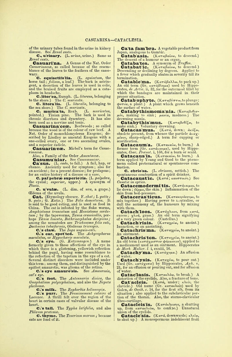 CASUARINA—CATACLESIA. of the urinary tubes found in the urine in kidney disease. See Renal casts. C.j u rinary. (L. urina, urine.) Same as Renal casts. Casuari'na. A Genus of the Nat. Order Casuarinacece, so called because of the resem- blance of the leaves to the feathers of the casso- wary. C. equisetifo'lia. (L. equisetum, the horse tail; folium, a leaf.) The-bark is astrin- gent, a decoction of the leaves is used in colic, and the bruised fruits are employed as a cata- plasm in headache. C.litor'ea, Rumph. (L. litoreus, belonging to the shore.) The C. mwicata. C. litora'lis. (L. Htoralis, belonging to the sea shore.) The C. muricata. C. muricata, Itoxb. (L. muricatus, pointed.) Tinian pine. The bark is used in chronic diarrhoea and dysentery. It has also been used as a nervine and tonic. Casuarina'ceae. Beefwoods; so called because the wood is of the colour of raw beef. A Nat. Order of monochlamydeous Exogens; de- scribed by Lindley as amental Exogens with a one-celled ovary, one or two ascending ovules, and a superior radicle. CJasuai'ill CS6. Mirbel's term for Casua- rinacece. Also, a Family of the Order Amentacem. Casumuniar^ See Cassumuniar. Ca sus. (L. cado, to fall.) A fall, hap, or chance. Anciently used for symptom ; also for an accident; for a present disease; for prolapsus; for an entire history of a disease or a case. C. pal pebrse superio'ris. (L. palpebra, the eyelid; superior, upper.) A synonym of Ptosis. C. u'vulae. (L. dim. of uva, a grape.) Gidema of the uvula. Cat. (Etymology obscure. F'. chat; I. gatto ; S. gato; G. Katze.) The Felis domesticus. It is said to be good eating, and is used as food in China. The cat is infested by the fluke worms, Amphistoma truncatum and Semistoma corda- tum ; by the tapeworms, Tmnia crassicollis, per- haps Taenia lineata, Bothriocephalus decipiens; among the nematodes are Trichosoma felis cati, Dochmius tubaformis, Olulanus tricuspis. C.'s claw. The Inga unguis-cati. C.'s ear, spot'ted. The Achyrophorus maculatus, or Sypochceris maculata. C.'s eye. (G. Katzenangen.) A name formerly given to those affections of the eye in which there is a glistening, yellowish reflection behind the pupil, having some resemblance to the reflection of the tapetum in the eye of a cat. Several distinct disorders were included under this term; among them, and distinguished by the epithet amaurotic, was glioma of the retina. C.'s eye amauro'sis. See Amaurosis, cats eye. C.'s foot. The Antennaria dioica. the Gnaphalium polycephalum, and also the Nepeta glechoma. C.'s milk. The Euphorbia helioscopia. C.'s purr. The Fremissement cataire of Laennec. A thrill felt over the region of the heart in certain cases of valvular disease of the heart. C.'s tail. The Typha latifolia, and also Phlazum pratense. C. thyme. The Teucrium marum ; because eats are fond of it. Ca'ta fam'bra. A vegetable product from Japan, analogous to Gambir. Catab'asis. (K.aTaf3aii>u>, to descend.) The descent of a humour or an organ. Cataba'tes. A synonym of Truffles. Catabat'ic. (KaTapaivw, to descend.) Descending or declining by degrees. Applied to a fever which gradually abates in severity till its termination. Catable'ma. (Ka-ra/3a\Aw, to pack up.) An old term (Gr. KciTafiXrifia) used by Hippo- crates, de Artie, ii, 32, lor the outermost fillet by which the bandages are maintained in their proper situation. Catab'ophyte. (KaTa/3i';7n-w,to plunge; tpvrov, a plant.) A plant which grows beneath the surface of water. Catabythismomania. (KaTaj3u6i<r- /xos, making to sink; fiavia, madness.) The drowning mania. Catabythis mus. (KaTa/3v0i'£w, to make sink.) Voluntary drowning. Catacas'mus. (Ka™, down; ukuX^w, obsolete present, from whence the particle ah<*X /is'i/oe, sharp-edged.) A term for cupping or scarification. Catacaum'a. (KaTaKoi'm, to bum.) A former term (Gr. KaTaxavno), used by Hippo- crates, Coac. Prmnot. i, 158, for a burn or scald. CatacaUS'iS. (KwraKaiw, to burn.) A term applied by Young and Good to the pbeno- mena called preternatural or spontaneous com- bustion. C. ebrio'sa. (L. ebriosus, sottish.) The spontaneous combustion of a spirit drinker. CatacaUSt iC. (Kara; KavcrTiKos.) See Caustic in optics. Catacemodermi tis. {KaT&.KtLp.ai, to lie down; Stpp.a, the skin.) Inflammation of the skin from bed-pressure. Cataceras ticus. (KaToutipawjju, to mix together.) Having power to neutralise, or dull the acrimony of, the humours by mixing with them. Catacll'lOOS. (KaTayXoo's, from koto, excess; y^on, grass.) An old term signifying of a very green colour. (Castellus.) Catachrisis. (KaTaxpiw, to anoint.) Inunction, or an anointing. Catachris'ma. (Ka-raxpiw, to anoint.) An ointment. Catachris ton. (K<M-ax/>'u), to anoint.) An old term (KaTaxpi<r~rov cpapuaKov), applied to a medicament used as an ointment. Hippocrates de Morb. Mulier. I. i, cxxiii, 16. Cat achy ma. (Ka-raxvua.) An affusion of water. Catach'ysiS. (KaTaxvw, to pour out.) Used (Gr. h-a-raxuo-is) by Hippocrates, Aph. v, 21, for an effusion or pouring out, and for affusion of water. Catac'lasis. (KaTaK\aa>, to break.) A distortion of the eyelids. Also, a fracture of bone. Cat acleis. (Ka-ra, under; k\('li, the clavicle.) Old name (Gr. KaTa/cXtis) used by Galen, de Ossib. c. 14, for the first rib, from its situation ; also applied to the subclavicular por- tion of tbe thorax. Also, the sterno-clavicular fibro-cartilage. Catacleis'iS. (Kara/cXacTis, a shutting up, from KaTaK.\i'ia>, to confue.) Unnatural union of the eyelids. Catacle'sia. (Kara, downwards; kXiIid, to shut up.) A monospermous indehiscent fruit