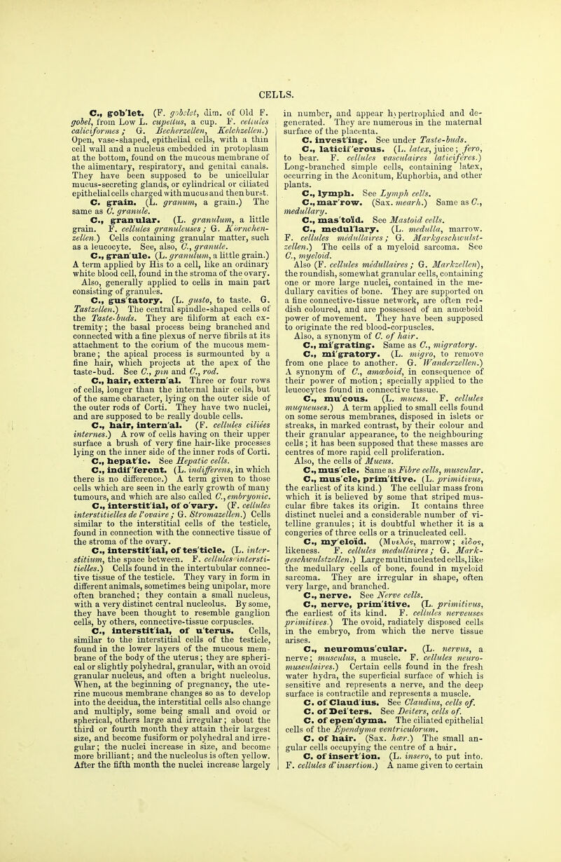 C, gob'let. (F. gobetet, dim. of Old F. gobel, from Low L. cupellus, a cup. F. cellules caliciformes; G. Becherzellen, Kelchzellen.) Open, vase-shaped, epithelial cells, with a thin cell wall and a nucleus embedded in protoplasm at the bottom, found on the mucous membrane of the alimentary, respiratory, and genital canals. They have been supposed to be unicellular mucus-secreting glands, or cylindrical or ciliated epithelial cells charged with mucus and then burst. C. grain. (L. granum, a grain.) The same as ft granule. C, granular. (L. granulum, a little grain. F. cellules granuleuses; G. Kornchen- zellen.) Cells containing granular matter, such as a leucocyte. See, also, ft, granule. C, granule. (L. granulum, a little grain.) A term applied by His to a cell, like an ordinary white blood cell, found in the stroma of the ovary. Also, generally applied to cells in main part consisting of granules. C, gus'tatory. (L. gusto, to taste. G. Tastzellen.) The central spindle-shaped cells of the Taste-buds. They are filiform at each ex- tremity ; the basal process being branched and connected with a fine plexus of nerve fibrils at its attachment to the corium of the mucous mem- brane ; the apical process is surmounted by a fine hair, which projects at the apex of the taste-bud. See ft, pin and ft, rod. C, hair, extern'al. Three or four rows of cells, longer than the internal hair cells, but of the same character, lying on the outer side of the outer rods of Corti. They have two nuclei, and are supposed to be really double cells. C, hair, intern'al. (F. cellules ciliees internes.) A row of cells having on their upper surface a brush of very fine hair-hke processes lying on the inner side of the inner rods of Corti. ■ C, hepaf ic. See Hepatic cells. C, indifferent. (L. indifferens, in which there is no difference.) A term given to those cells which are seen in the early growth of many tumours, and which are also called ft, embryonic. C, interstitial, of o'vary. (F. cellules interstitielles de I'ovaire ; Gr. Stromazellen.) Cells similar to the interstitial cells of the testicle, found in connection with the connective tissue of the stroma of the ovary. C, interstitial, of tes'ticle. (L. inter- stitiwm, the space between. F. cellules intersti- tielles.) Cells found in the intertubular connec- tive tissue of the testicle. They vary in form in different animals, sometimes being unipolar, more often branched; they contain a small nucleus, with a very distinct central nucleolus. By some, they have been thought to resemble ganglion cells, by others, connective-tissue corpuscles. C, interstitial, of u'terus. Cells, similar to the interstitial cells of the testicle, found in the lower layers of the mucous mem- brane of the body of the uterus; they are spheri- cal or slightly polyhedral, granular, with an ovoid granular nucleus, and often a bright nucleolus. When, at the beginning of pregnancy, the ute- rine mucous membrane changes so as to develop into the decidua, the interstitial cells also change and multiply, some being small and ovoid or spherical, others large and irregular; about the third or fourth month they attain their largest size, and become fusiform or polyhedral and irre- gular; the nuclei increase in size, and become more brilliant; and the nucleolus is often yellow. After the fifth month the nuclei increase largely in number, and appear h\ pertrophied and de- generated. They are numerous in the maternal surface of the placenta. C. investing. See under Taste-buds. C, laticif 'erous. (L. latex, juice; fero, to bear. F. cellules vasculaires laticiferes.) Long-branched simple cells, containing latex, occurring in the Aconitum, Euphorbia, and other plants. C, lymph. See Lymph cells. C, mar row. (Sax. mearh.) Same as ft, medullary. C, mas'to'id. See Mastoid cells. C, medullary. (L. medulla, marrow. F. cellules medullaires; Gr. Markgeschwulst- zellen.) The cells of a myeloid sarcoma. See ft, myeloid. Also (F. cellules wiedullaires ; G. Marlczellen), the roundish, somewhat granular cells, containing one or more large nuclei, contained in the me- dullary cavities of bone. They are supported on a fine connective-tissue network, are often red- dish coloured, and are possessed of an amoeboid power of movement. They have been supposed to originate the red blood-corpuscles. Also, a synonym of ft of hair. C, migrating. Same as ft, migratory. C, mi'gratory. (L. migro, to remove from one place to another. G. Wanderzellen.) A synonym of ft, amoeboid, in consequence of their power of motion; specially applied to the leucocytes found in connective tissue. C, mu'eous. (L. mucus. F. cellules muqueuses.) A term applied to small cells found on some serous membranes, disposed in islets or streaks, in marked contrast, by their colour and their granular appearance, to the neighbouring cells ; it has been supposed that these masses are centres of more rapid cell proliferation. Also, the cells of Mucus. C, mus'cle. Same as Fibre cells, muscular. C, mus'cle, prim'itive. (L. primitivus, the earliest of its kind.) The cellular mass from which it is believed by some that striped mus- cular fibre takes its origin. It contains three distinct nuclei and a considerable number of vi- telline granules; it is doubtful whether it is a congeries of three cells or a trinucleated cell. C, myeloid, (MdAm, marrow; £t<5os, likeness. F. cellules medullaires; G. Mark- geschwulstzellen.) Large multinucleated cells, like the medullary cells of bone, found in myeloid sarcoma. They are irregular in shape, often very large, and branched. C, nerve. See Nerve cells. C, nerve, prim'itive. (L. primitivus, the earliest of its kind. F. cellules nerveuses primitives.) The ovoid, radiately disposed cells in the embryo, from which the nerve tissue arises. Cm neuromus'cular. (L. nervus, a nerve; museulus, a muscle. F. cellules neuro- musculaires.) Certain cells found in the fresh water hydra, the superficial surface of which is sensitive and represents a nerve, and the deep surface is contractile and represents a muscle. C. of Claudius. See Claudius, cells of. C. of Dei'ters. See Deiters, cells of. C. of epen'dyma. The ciliated epithelial cells of the Ependyma ventriculorum. C. of hair. (Sax. ha;r.) The small an- gular cells occupying the centre of a hair. C. of insert'ion. (L. insero, to put into. I F. cellules ainsertion.) A name given to certain