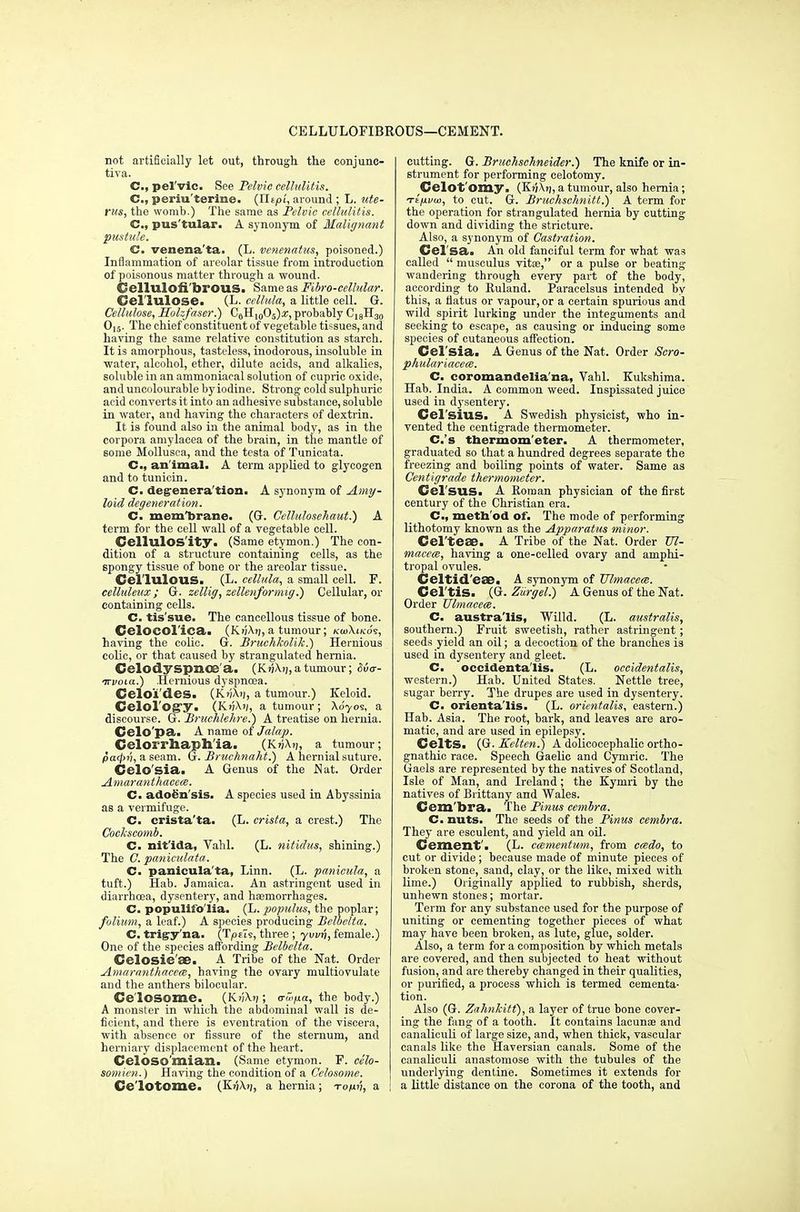 CELLULOFIBROUS—CEMENT. not artificially let out, through, the conjunc- tiva. C, pel'vic. See Pelvic cellulitis. C, periuterine. (Xlipi, around ; L. ute- rus, the womb.) The same as Pelvic cellulitis. C, pus'tular. A synonym of Malignant pustule. C. venena'ta. (L. venenatus, poisoned.) Inflammation of areolar tissue from introduction of poisonous matter through a wound. Cellulofi'brous. Same as Fibro-cellular. Cellulose. (L- cellula, a little cell. G. Cellulose, Holzfaser.) C6H10O5)«, probably C18H30 015. The chief constituent of vegetable tissues, and having the same relative constitution as starch. It is amorphous, tasteless, inodorous, insoluble in water, alcohol, ether, dilute acids, and alkalies, soluble in an ammoniacal solution of cupric oxide, and uncolourable by iodine. Strong cold sulphuric acid converts it into an adhesive substance, soluble in water, and having the characters of dextrin. It is found also in the animal body, as in the corpora amylacea of the brain, in the mantle of some Mollusca, and the testa of Tunicata. C, an imal. A term applied to glycogen and to tunicin. C. degeneration. A synonym of Amy- loid degeneration. C. mem'brane. (G. Ccllulosehaut.) A term for the cell wall of a vegetable cell. Cellulos'ity. (Same etymon.) The con- dition of a structure containing cells, as the spongy tissue of bone or the areolar tissue. Cel'lulous. (L. cellula, a small cell. F. celluleux; G. zellig, zellenformig.) Cellular, or containing cells. C. tis'sue. The cancellous tissue of bone. Cclocolica. (K>;Xrj, a tumour; kojXi/co's, having the colic. G. Bruchkolik.) Hernious colic, or that caused by strangulated hernia. Celodyspnoe a. (Ktj\>j, a tumour; &6<r- irvoia.) .Hernious dyspncea. Celoi'des. (K»;\i), a tumour.) Keloid. Celol'ogy. (K>;\>(, a tumour; Xo'yos, a discourse. G. Bruchlehre.) A treatise on hernia. Celo'pa. A name of Jalap. Celorrhaph'ia. (Kj}X»j, a tumour; parpv, a seam. G. Bruchnaht.) A hernial suture. Celo'sia. A Genus of the Nat. Order Amaranthaceai. C. adoen'sis. A species used in Abyssinia as a vermifuge. C. crista'ta. (L. crista, a crest.) The Cockscomb. C. nit'ida, Vahl. (L. nitidus, shining.) The C. paniculata. C. panicula'ta, Linn. (L. panicula, a tuft.) Hab. Jamaica. An astringent used in diarrhoea, dysentery, and haemorrhages. C. populifo'lia. (L. popxdus, the poplar; folium, a leaf.) A species producing Belhclta. C. trigy'na. (Tptis, three ; ywn, female.) One of the species affording Belbelta. Celosie'se. A Tribe of the Nat. Order Amaranthacece, having the ovary multiovulate and the anthers bilocular. Ce'lOSOme. (KjjX)) ; a-wpa, the body.) A monster in which the abdominal wall is de- ficient, and there is eventration of the viscera, with absence or fissure of the sternum, and herniary displacement of the heart. CelOSO'mian. (Same etymon. F. cilo- somien.) Having the condition of a Celosome. Ce'lOtome. (K?}Xij, a hernia; -ropv, a cutting. G. Bruchschneider.) The knife or in- strument for performing celotomy. Celot'omy. (KfjAtj, a tumour, also hernia; Ttfxvw, to cut. G. Bruchschnitt.) A term for the operation for strangulated hernia by cutting down and dividing the stricture. Also, a synonym of Castration. Cel'sa. An old fanciful term for what was called  musculus vitas, or a pulse or beating wandering through every part of the body, according to Euland. Paracelsus intended by this, a flatus or vapour, or a certain spurious and wild spirit lurking under the integuments and seeking to escape, as causing or inducing some species of cutaneous affection. Cel'sia. A Genus of the Nat. Order Sero- phulariacem. C. coromandelia'na, Vahl. Kukshima. Hab. India. A common weed. Inspissated juice used in dysentery. Celsius. _ A Swedish physicist, who in- vented the centigrade thermometer. C.'s thermom eter. A thermometer, graduated so that a hundred degrees separate the freezing and boiling points of water. Same as Centigrade thermometer. Cel'SUS. A Roman physician of the first century of the Christian era. C, meth od of. The mode of performing lithotomy known as the Apparatus minor. Cel'teae. A Tribe of the Nat. Order Ul- macea, having a one-celled ovary and amphi- tropal ovules. Celtid'caD. A synonym of Uhnacece. Cel'tis. (G. Zargel.) A Genus of the Nat. Order Ulmacece. C. austra'lis, Willd. (L. australis, southern.) Fruit sweetish, rather astringent; seeds yield an oil; a decoction of the branches is used in dysentery and gleet. C. occidenta'lis. (L. occidentalis, western.) Hab. United States. Nettle tree, sugar berry. The drupes are used in dysentery. C. orienta'lis. (L. orientalis, eastern.) Hab. Asia. The root, bark, and leaves are aro- matic, and are used in epilepsy. Celts. (G. Kelten.) A dolicocephalic ortho- gnathic race. Speech Gaelic and Cymric. The Gaels are represented by the natives of Scotland, Isle of Man, and Ireland; the Kymri by the natives of Brittany and Wales. Cem bra. The Pinus cembra. C. nuts. The seeds of the Pinus cembra. They are esculent, and yield an oil. Cement'. (L. catmentum, from cmdo, to cut or divide; because made of minute pieces of broken stone, sand, clay, or the like, mixed with lime.) Originally applied to rubbish, sherds, unhewn stones; mortar. Term for any substance used for the purpose of uniting or cementing together pieces of what may have been broken, as lute, glue, solder. Also, a term for a composition by which metals are covered, and then subjected to heat without fusion, and are thereby changed in their qualities, or purified, a process which is termed cementa- tion. Also (G. Zahnkitt), a layer of true bone cover- ing the fang of a tooth. It contains lacuna? and canaliculi of large size, and, when thick, vascular canals like the Haversian canals. Some of the canaliculi anastomose with the tubules of the underlying dentine. Sometimes it extends for a little distance on the corona of the tooth, and