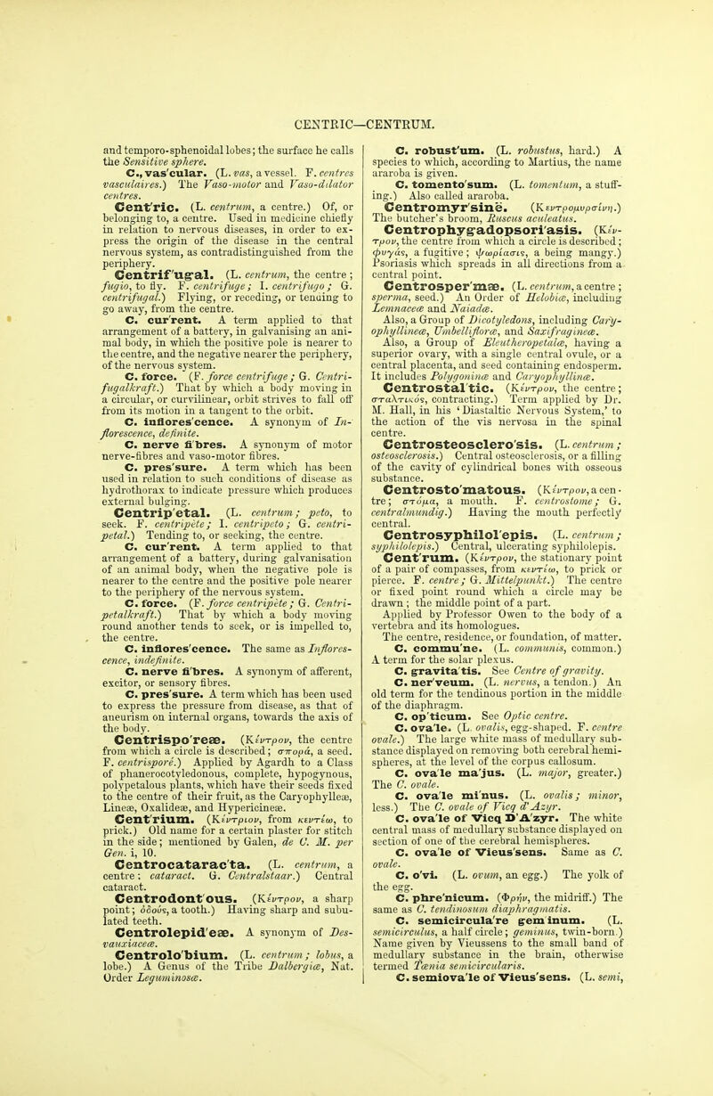 CENTRIC—CENTRUM. and temporo-sphenoidal lobes; the surface he calls the Sensitive sphere. C, vas'cular. (L.vas, a vessel. F. centres vasculaires.) The Vaso-molor and Vaso-ddator centres. Gsnt'ric. (L- centrum, a centre.) Of, or belonging to, a centre. Used in medicine chiefly in relation to nervous diseases, in order to ex- press the origin of the disease in the central nervous system, as contradistinguished from the periphery. Centrif Ug'al. (L. centrum, the centre ; fugio, to fly. F. centrifuge; I. centrij'ugo ; G. centrifugal.) Flying, or receding, or tenuing to go away, from the centre. C. cur'rent. A term applied to that arrangement of a battery, in galvanising an ani- mal body, in which the positive pole is nearer to the centre, and the negative nearer the periphery, of the nervous system. C. force. (F. force centrifuge ; G. Centri- fugalkraft.) That by which a body moving in a circular, or curvilinear, orbit strives to fall off from its motion in a tangent to the orbit. C. inflores'cence. A synonym of In- florescence, definite. C. nerve fibres. A synonym of motor nerve-fibres and vaso-motor fibres. C. pres'sure. A term which has been used in relation to such conditions of disease as hydrothorax to indicate pressure which produces external bulging. Centripetal. (L. centrum; peto, to seek. F. centripite; I. centripeto; G. centri- petal.) Tending to, or seeking, the centre. C. cur'rent. A term applied to that arrangement of a battery, during galvanisation of an animal body, when the negative pole is nearer to the centre and the positive pole nearer to the periphery of the nervous system. C. force. (F. force centripite; G. Centri- petalkraft.) That by which a body moving round another tends to seek, or is impelled to, the centre. C. inflores'cence. The same as Inflores- cence, indefinite. C. nerve fibres. A synon)Tn of afferent, excitor, or sensory fibres. C. pres'sure. A term which has been used to express the pressure from disease, as that of aneurism on internal organs, towards the axis of the body. Centrispo'rese. (Kivrpov, the centre from which a circle is described; <nropa, a seed. F. centrispore.) Applied by Agardh to a Class of phanerocotyledonous, complete, hypogynous, polypetalous plants, which have their seeds fixed to the centre of their fruit, as the Caryophyllese, Linese, Oxalideae, and HypericineaB. Cent riUM. (Kivrpiov, from Ktmia, to prick.) Old name for a certain plaster for stitch in the side; mentioned by Galen, de V. M. per Gen. i, 10. Centrocatarac'ta. (L. centrum, a centre; cataract. G. Centralstaar.) Central cataract. Centrodont OUS. (Kivrpov, a sharp point; ocious, a tooth.) Having sharp and subu- lated teeth. Centrolepid'eae. A synonym of Des- vauxiacece. Centrolo'bium. (L. centrum; lobus, a lobe.) A Genus of the Tribe Dalbergim, Nat. Order leguminosce. C. robust'um. (L. robustus, hard.) A species to which, according to Martius, the name araroba is given. C. tomento'sum. (L. tomentum, a stuff- ing.) Also called araroba. Centromyr sine. (Kwt popvpaivn.) The butcher's broom, Ruscus aculeatus. Centrophygadopsori asis. (Kiv- Tpov, the centre from which a circle is described; (puyas, a fugitive ; <//u>pi'ao-is, a being mangy.) Psoriasis which spreads in all directions from a central point. Centrosper'mse. (L. centrum, a centre ; sperma, seed.) An Order of Helobice, including lemnacem and Naiada. Also, a Group of Dicotyledons, including Cafy- ophyllinece, Umbellif/orte, and Saxifraginem. Also, a Group of Eleuthcropetala, having a superior ovary, with a single central ovule, or a central placenta, and seed containing endosperm. It includes Polygonum and Cai-yophyllinee. CentrOStal tic. (Kivrpov, the centre; cttuXtlkoi, contracting.') Term applied by Dr. M. Hall, in his 'Diastaltie Nervous System,' to the action of the vis nervosa in the spinal centre. Centrosteosclero'sis. (L. centrum; osteosclerosis.) Central osteosclerosis, or a filling of the cavity of cylindrical bones with osseous substance. CentrOSto'matOUS. (Kivrpov, a cen • tre; arrupa, a mouth. F. ccntrostome; G. centralmundig.) Having the mouth perfectly central. Centrosyphilolepis. (L. centrum; syphilolepis.) Central, ulcerating sj-philolepis. Cent rum. (Kivrpov, the stationary point of a pair of compasses, from Ktvriui, to prick or pierce. F. centre; G. Mittelpunkt.) The centre or fixed point round which a circle may be drawn ; the middle point of a part. Applied by Professor Owen to the body of a vertebra and its homologues. The centre, residence, or foundation, of matter. C. commu'ne. (L. communis, common.) A term for the solar plexus. C. gravita tis. See Centre of gravity. C. nerVeum. (L. nervus, a tendon.) An old term for the tendinous portion in the middle of the diaphragm. C. op'ticum. See Optic centre. C. ovale. (L. ovalis, egg-shaped. F. centre ovale.) The large white mass of medullary sub- stance displayed on removing both cerebral hemi- spheres, at the level of the corpus callosum. C. ova'le ma'jus. (L. major, greater.) The C. ovale. C. ova'le mi'nus. (L. ovalis; minor, less.) The C. ovale of Vicq d'Azyr. C. ova'le of Vicq D'Azyr. The white central mass of medullary substance displayed 011 section of one of the cerebral hemispheres. C. ova'le of Vieus'sens. Same as C. ovale. C. o'vi. (L. ovum, an egg.) The yolk of the egg. C. phre'nicum. (Qpnv, the midriff.) The same as C. tendinosum diaphragmatis. C. semicircula're geminum. (L. semicirculus, a half circle; geminus, twin-born.) Name given by Vieussens to the small band of medullary substance in the brain, otherwise termed Tcenia semicircularis. C. semiova'le of Vieus'sens. (L. semi,
