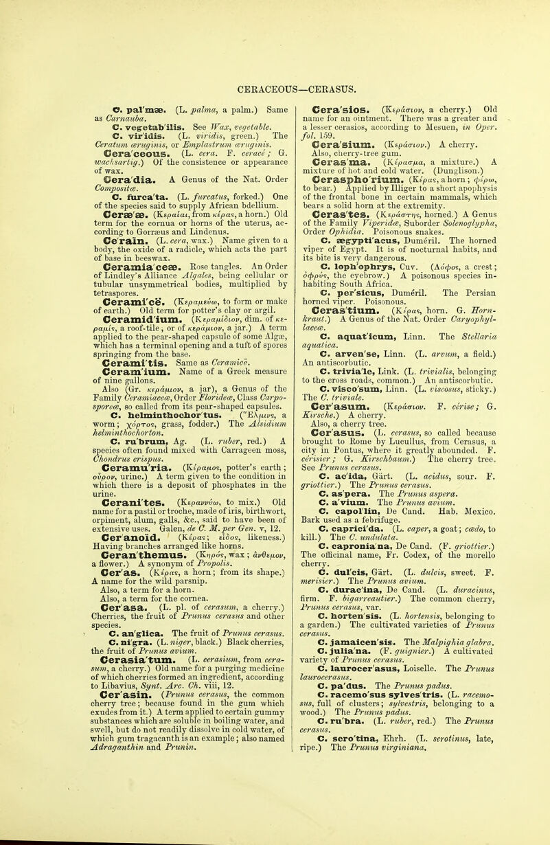 CERACEOUS—CERASUS. O. pal'mse. (L. palma, a palm.) Same as Carnauba. C. vegetab'ilis. See Wax, vegetable. C. vir'idis. (L. viridis, green.) The Ceratum mruginis, or Emplastrum eeruginis. Cera'ceous. (L. cera. F. cerace; G. wachsartig.) Of the consistence or appearance of wax. Cera'dia. A Genus of the Nat. Order Composites. C. fiirca'ta. (L. fureatus, forked.) One of the species said to supply African bdellium. CerSB'aB. (Kipaiai, hom Ktpas, a horn.) Old term for the cornua or horns of the uterus, ac- cording to Gorraeus and Lindenus. Ce'rain. (L. cera, wax.) Name given to a body, the oxide of a radicle, which acts the part of base in beeswax. Ccramia cese. Rose tangles. An Order of Lindley's Alliance Algales, being cellular or tubular unsymmetrical bodies, multiplied by tetraspores. Cerami'ce'i (JS.tpap.tvo>, to form or make of earth.) Old term for potter's clay or argil. Ceramid'ium. {Kepapiowv, dim. of ke- papfc, a roof-tile; or of Ktpapiov, a jar.) A term applied to the pear-shaped capsule of some Algse, which has a terminal opening and a tuft of spores spi'inging from the base. Cerami'tis. Same as Ceramice. Ceram'innii Name of a Greek measure of nine gallons. Also (Gr. Kspap.Lov, a jar), a Genus of the Family Ceramiaceee, Order Floridem, Class Carpo- sporece, so called from its pear-shaped capsules. C. belmintbocbor'tus. (EX/m/s, a worm; x°7,'ros> grass, fodder.) The Alsidium helminthochorton. C. ru'brum, Ag. (L. ruber, red.) A species often found mixed with Carrageen moss, Chondrus crispus. Ceramu'ria. (Kipapos, potter's earth; oZpov, urine.) A term given to the condition in which there is a deposit of phosphates in the urine. Ceranites. (Kspawvu, to mix.) Old name for a pastil or troche, made of iris, birth wort, orpiment, alum, galls, &c, said to have been of extensive uses. Galen, de C. M.per Gen. v, 12. Cer'anoid. (Kepas; eISos, likeness.) Having branches arranged like horns. Ceran'theiUUS. (Kilo's, wax ; avdepov, a flower.) A synonym of Propolis. Cer'as. (Kipas, a horn; from its shape.) A name for the wild parsnip. Also, a term for a horn. Also, a term for the cornea. Cer'asa. (L. pi. of cerasum, a cherry.) Cherries, the fruit of Prunus cerasus and other species. C. an'glica. The fruit of Prunus cerasus. C. ni gra. (L. niger, black.) Black cherries, the fruit of Prunus avium. Cerasia'tum. (L. cerasium, from cera- sum, a cherry.) Old name for a purging medicine of which cherries formed an ingredient, according to Libavius, Synt. Arc. Ch. viii, 12. Cer'asin. {Prunus cerasus, the common cherry tree; because found in the gum which exudes from it.) A term applied to certain gummy substances which are soluble in boiling water, and swell, but do not readily dissolve in cold water, of which gum tragacanth is an example; also named Adraganthin and Prunin. Cera'sios. (Keprlcriov, a cherry.) Old name for an ointment. There was a greater and a lesser cerasios, according to Mesuen, in Optr. fol. 159. Cera'Sium. (Ktpamov.) A cherry. Also, cherry-tree gum. Ceras'ma. (Ktpaorpa, a mixture.) A mixture of hot and cold water. (Ounglisou.) Ceraspho rium. (Ktpu<;, ahorn; <p!Pw, to bear.) Applied by Illiger to a short apophysis of the frontal bone in certain mammals, which bears a solid horn at the extremity. Ceras'tes. (Kepuittjjs, horned.) A Genus of the Family Viperidce, Suborder Solenoglgpha, Order Ophidia. Poisonous snakes. C. aeg-ypti'acus, Dumeril. The horned viper of Egypt. It is of nocturnal habits, and its bite is very dangerous. C. lopb'opbrys, Cuv. (Aotpos, a crest; 6<ppd<s, the eyebrow.) A poisonous species in- habiting South Africa. C. per'sicus, Dumeril. The Persian horned viper. Poisonous. Ceras'tium. (Kipas, horn. G. Rom- kraut.) A Genus of the Nat. Order Caryophyl- lacece. C. aquat'icum, Linn. The Stellaria aquatica. C. arven'se, Linn. (L. arvum, a field.) An aiitiscorbutic. C. trivia le, Link. (L. trivialis, belonging to the cross roads, common.) An antiscorbutic. C. visco'sum, Linn. (L. viscosus, sticky.) The C. triviale. Cer'asum. (Kipdariov. F. cerise; G. Kirsche.) A cherry. Also, a cherry tree. Cer'asus. (L. cerasus, so called because brought to Rome by Lucullus, from Cerasus, a city in Pontus, where it greatly abounded. F. cerisier; G. Kirschbaum.) The cherry tree. See Prunus cerasus. C. ac'ida, Gart. (L. acidus, sour. F. griottier.) The Prunus cerasus. C. as'pera. The Prunus aspera. C. a vium. The Prunus avium. C. capol'lin, De Cand. Hab. Mexico. Bark used as a febrifuge. C. caprici'da. (L. caper, a goat; ccedo, to kill.) The C. undulata. C. capronia'na, De Cand. (F. griottier.') The officinal name, Fr. Codex, of the morello cherry. C. dul'cis, Gart. (L. dulcis, sweet. F. merisier.) The Prunus avium. C. durac'ina, De Cand. (L. duracinus, firm. F. bigarreautier.) The common cherry, Prunus cerasus, var. C. horten'sis. (L. hortensis, belonging to a garden.) The cultivated varieties of Prunus cerasus. C. jamaicen'sis. The Malpighia glabra. C. Julia na. (F. guignier.) A cultivated variety of Prunus cerasus. C. laurocer'asus, Loiselle. The Prunus laurocerasus. C. pa'dus. The Prunus padus. C. racemo'sus sylves'tris. (L. racemo- sus, full of clusters; sylvestris, belonging to a wood.) The Prunus padus. C. ru'bra. (L. ruber, red.) The Prunus cerasus. C. sero'tina, Ehrh. (L. serotinus, late, ripe.) The Prunus virginiana.
