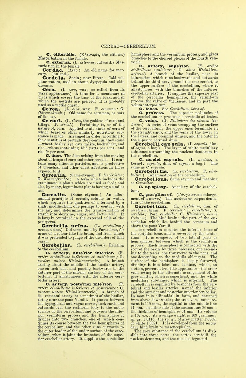 CERDAC—CEREBELLUM. C. clitor'idis. (KXst-ropi's, the clitoris.) Masturbation in the female. C. externa. (L. externus, outward.) Mas- turbation in the female. Cer'dac. (Arab.) An old name for mer- cury. (Kuland.) Cerde'la. Spain; near Fitero. Cold sul- phur waters, used in atonic dyspepsia and skin diseases. Cere. (L. eera, wax; so called from its waxy appearance.) A term for a membrane in birds which covers the base of the beak, and in which the nostrils are pierced; it is probably used as a tactile organ. Ce'rea. (L. eera, wax. F. cerumen; G. Ohrenschmalz.) Old name for cerumen, or wax of tbe ear. Cereal. (L. Ceres, the goddess of corn and tillage. F. cereal.) Pertaining to, or of the nature of, corn. Applied to all kinds of corn of which bread or other similarly nutritious sub- stance is made. Arranged in order, according to the quantities of proteids they contain, they stand —wheat, barley, rye, oats, maize, buckwheat, and rice—wheat containing 13*5 parts per cent., and rice 5- per cent. C. dust. The dust arising from the moving about of heaps of corn and other cereals. It con- tains many siliceous particles, and is productive of bronchial and other chest affections in those exposed to it. Cerea'lia. (Same etymon. F. les cereales ; Or. Kornerfriichte.) A term which includes the graminaceous plants which are used as food; and also, by many, leguminous plants having a similar use. Cerea'lin. (Same etymon.) An albu- minoid principle of cereals, soluble in water, which acquires the qualities of a ferment by a slight modification, due perhaps to contact with the air, and determines the transformation of starch into dextrine, sugar, and lactic acid. It is largely contained in the external cells of the perisperm. Cerebel'la uri'na. (L. cerebellum; urina, urine.) Old term, used by Paracelsus, for urine of a colour like the brain, and from which it was pretended to judge of the disorders of that organ. Cerebellar. (L. cerebellum.) Relating to the cerebellum. C. ar'tery, ante'rior infe'rior. (F. artere cerebelleuse inferimre et anterieure; G. vordere untere Kleinhirnarterie.) A branch arising about the middle of the basilar artery, one on each side, and passing backwards to the anterior part of the inferior surface of the cere- bellum ; it anastomoses with the inferior cere- bellar artery. C. ar'tery, poste'rior infe'rior. (F. artere cerebelleuse inferieure et posterieure; G. hintere untere Kleinhirnarterie.) A branch of the vertebral artery, or sometimes of the basilar, rising near the pons Varolii. It passes between the hypoglossal and vagus nerves, backwards and outwards over the restiform body to the under surface of the cerebellum, and between the infe- rior vermiform process and the hemisphere it divides into two branches, one of which con- tinues its course between the two hemispheres of the cerebellum, and the other runs outwards to the outer border of the under surface of the cere- bellum, when it joins the branches of the supe- rior cerebellar artery. It supplies the cerebellar hemisphere and the vermiform process, and gives branches to the choroid plexus of the fourth ven- tricle. C. ar'tery, supe'rior. (F. artere cerebelleuse superieure ; G. obere Kleinhirn- arterie.) A branch of the basilar, near its bifurcation, which runs backwards and outwards behind the third nerve, round the crus cerebri, to the upper surface of the oerebellum, where it anastomoses with the branches of the inferior cerebellar arteries. It supplies the superior part of the cerebellar hemisphere, the vermiform process, the valve of Vieussens, and in part the velum interpositum. C. lobes. See Cerebellum, lobes of. C. pro'cess. The superior peduncles of the cerebellum or processus e cerebello ad testes. C. veins. (G. Blutndern des kleinen Ge- hirns.) A series of veins occupying the surface of the cerebellum; the upper ones terminate in the straight sinus, and the veins of the lower in the lateral and occipital sinuses, and the outer in the superior petrosal sinus. Cerebel'li cap'sula. (L. eapsula, dim. of capsa, a bag.) The layer of white medullary substance surrounding the nucleus dentatum in the cerebellum. C. nu'clei cap'sula. (L. nucleus, a kernel; eapsula, dim. of capsa, a bag.) The same as C. eapsula. Cerebelli'tiS. (L. cerebellum, F. cere- bellite.) Inflammation of the cerebellum. CerebellOUS. Same etymon and meaning as Cerebellar. C. ap oplexy. Apoplexy of the cerebel- lum. Cm, gan glion of. (TayyXiov, an enlarge- ment of a nerve.) The nucleus or corpus denta- tum of the cerebellum. Cerebellum. (L. cerebellum, dim. of cerebrum, brain. F. cervelet; I. cervelletto ; S. cerebelo; Port, cerebello; G. Kleinhirn, kleiae Oehirn.) The hind brain ; the part of the en- cephalon which lies behind the cerebrum and above the pons Varolii. The cerebellum occupies the inferior fossae of the occipital bone, and is covered by the tento- rium. It is composed of two lateral parts or hemispheres, between which is the vermiform process. Each hemisphere is connected with the root of the brain by three processes, one ascend- ing to the testes, one transverse to the pons, and one descending to the medulla oblongata. The surface of the hemisphere is deeply furrowed, dividing it into lobes and laminae, which, on section, present a tree-like appearance—the arbor vita?, owing to the alternate arrangement of the grey matter, which is superficial, and the white medullary substance, which is internal. The cerebellum is supplied by branches from the ver- tebral and basilar arteries, named the inferior and the anterior and posterior superior cerebellar. In man it is ellipsoidal in form, and flattened from above downwards; the transverse measure- ment is 115 mm., the sagittal in the middle line 41 mm., on either side of the median line 68 mm.; the thickness of hemispheres 54 mm. Its volume is 162 c.c. ; its average weight is 169 grammes ; sp. gr. 1-0415 ; the sp. gr. of grey matter 1*0308, of white 1*0321. It is developed from the secon- dary hind brain or mesencephalon. The grey substance of the cerebellum is divi- sible into three parts—the cortex cerebelli, the nucleus dentatus, and the nucleus tegmenti.