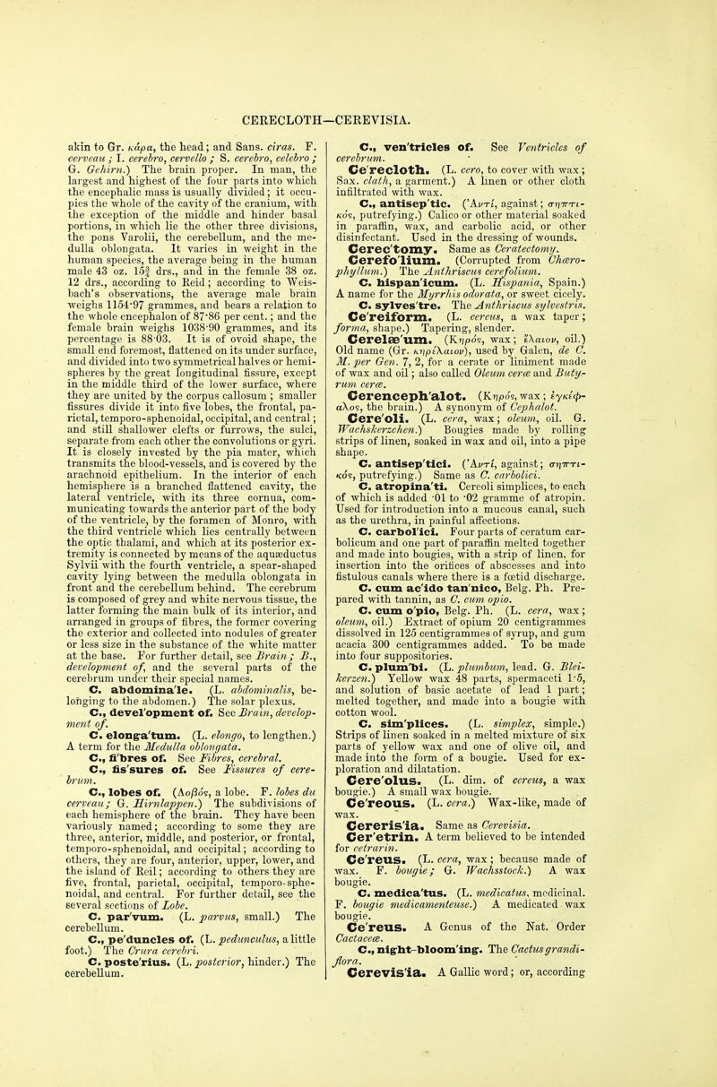 CERECLOTH—CEREVISIA. akin to Gr. K&pa, the head; and Sans, ciras. F. cerveau ; I. cerebro, cervello ; S. cerebro, celebro ; G. Gehim.) The brain proper. In man, the largest and highest of the four parts into which the encephalic mass is usually divided ; it occu- pies the whole of the cavity of the cranium, with the exception of the middle and hinder basal portions, in which lie the other three divisions, the pons Varolii, the cerebellum, and the me- dulla oblongata. It varies in weight in the human species, the average being in the human male 43 oz. 15f drs., and in the female 38 oz. 12 drs., according to Reid; according to Weis- hach's observations, the average male brain weighs 1154-97 grammes, and bears a relation to the whole encephalon of 87'86 per cent.; and the female brain weighs 1038-90 grammes, and its percentage is 88-03. It is of ovoid shape, the small end foremost, flattened on its under surface, and divided into two symmetrical halves or hemi- spheres by the great longitudinal fissure, except in the middle third of the lower surface, where they are united by the corpus callosum ; smaller fissures divide it into five lobes, the frontal, pa- rietal, temporo-sphenoidal, occipital, and central; and still shallower clefts or furrows, the sulci, separate from each other the convolutions or gyri. It is closely invested by the pia mater, which transmits the blood-vessels, and is covered by the arachnoid epithelium. In the interior of each hemisphere is a branched flattened cavity, the lateral ventricle, with its three cornua, com- municating towards the anterior part of the body of the ventricle, by the foramen of Monro, with the third ventricle which lies centrally between the optic thalami, and which at its posterior ex- tremity is connected by means of the aquaeductus Sylvii with the fourth ventricle, a spear-shaped cavity lying between the medulla oblongata in front and the cerebellum behind. The cerebrum is composed of grey and white nervous tissue, the latter forming the main hulk of its interior, and arranged in groups of fibres, the former covering the exterior and collected into nodules of greater or less size in the substance of the white matter at the base. For further detail, see Brain ; B., development of, and the several parts of the cerebrum under their special names. C. abdomina'le. (L. abdominalis, be- longing to the abdomen.) The solar plexus. C, development of. See Brain, develop- ment of. C. elong-a'tum. (L. elongo, to lengthen.) A term for the Medulla oblongata. C, fi bres of. See Fibres, cerebral. C, fis sures of. See Fissures of cere- brum. C, lobes of. (Ao/3o9, a lobe. F. lobes du cerveau; G. Simlappcn.) The subdivisions of each hemisphere of the brain. They have been variously named; according to some they are three, anterior, middle, and posterior, or frontal, temporo-sphenoidal, and occipital; according to others, they are four, anterior, upper, lower, and the island of Reil; according to others they are five, frontal, parietal, occipital, temporo-sphe- noidal, and central. For further detail, see the several sections of Lobe. C. par'vum. (L. parvus, small.) The cerebellum. C, pe duncles of. (L. pedunculus, a little foot.) The Crura cerebri. C. poste'rius. (L. posterior, hinder.) The cerebellum. C, ventricles of. See Ventricles of cerebrum. Ce reclotll. (L. cero, to cover with wax; Sax. elath, a garment.) A linen or other cloth infiltrated with wax. C, antisep'tic. ('Akti', against; <n]7n-t- ko's, putrefying.) Calico or other material soaked in paraffin, wax, and carbolic acid, or other disinfectant. Used in the dressing of wounds. Cerec tomy. Same as Ceratectomy. Cerefo'lium. (Corrupted from Gharo- pliyllum.) The Anthriscus cerefolium. C. hispan'icum. (L. FLispania, Spain.) A name for the Myrrliis odorata, or sweet cicely. C. sylves'tre. The Anthriscus sylvcstris. Ce'reiform. (L. cereus, a wax taper; forma, shape.) Tapering, slender. Cerelse'um. (Y^npoi, wax; tkaiov, oil.) Old name (Gr. h^ptXaiov), used by Galen, de G. M. per Gen. 7, 2, for a cerate or liniment made of wax and oil; also called Oleum cerm and Butyr rum ceres. Cerenceph'alot. (K?ipo's, wax; iyntfy- a\os, the brain.) A synonym of Cephalot. Cere'oli. (L. cera, wax; oleum, oil. G. Wachskerzchen.) Bougies made by rolling strips of linen, soaked in wax and oil, into a pipe shape. C. antisep'tici- ('Avti, against; ai\Tni- koi, putrefying.) Same as G. carbolici. C. atropina'ti. Cereoli simplices, to each of which is added 01 to -02 gramme of atropin. Used for introduction into a mucous canal, such as the urethra, in painful affections. C. carbol'ici. Four parts of ceratum car- bolicum and one part of paraffin melted together and made into bougies, with a strip of linen, for insertion into the orifices of abscesses and into fistulous canals where there is a fcetid discharge. C. cum ac'ido tan'nico, Belg. Ph. Pre- pared with tannin, as G. cum opio. C. cum o'pio, Belg. Ph. (L. cera, wax; oleum, oil.) Extract of opium 20 centigrammes dissolved in 125 centigrammes of syrup, and gum acacia 300 centigrammes added. To be made into four suppositories. C. plum'bi. (L. plumbum, lead. G. Blei- kerzen.) Yellow wax 48 parts, spermaceti 1-5, and solution of basic acetate of lead 1 part; melted together, and made into a bougie with cotton wool. C. sim'plices. (L. simplex, simple.) Strips of linen soaked in a melted mixture of six parts of yellow wax and one of olive oil, and made into the form of a bougie. Used for ex- ploration and dilatation. Cere'olus. (L. dim. of cereus, a wax bougie.) A small wax bougie. Ce'reous. (L. cera.) Wax-like, made of wax. Cereris'ia. Same as Cerevisia. Cer'etrin. A term believed to be intended for cetrarin. Ge'reilSi (L. cera, wax; because made of wax. F. bougie; G. Wachsstock.) A wax bougie. C. medica'tus. (L. medieatus. medicinal. F. bougie medieamenteuse.) A medicated wax bougie. Ce reus. A Genus of the Nat. Order Cactacece. Cm, nig-ht bloom'ing-. The Cactus grandi- fiora. Cerevis'ia. A Gallic word; or, according